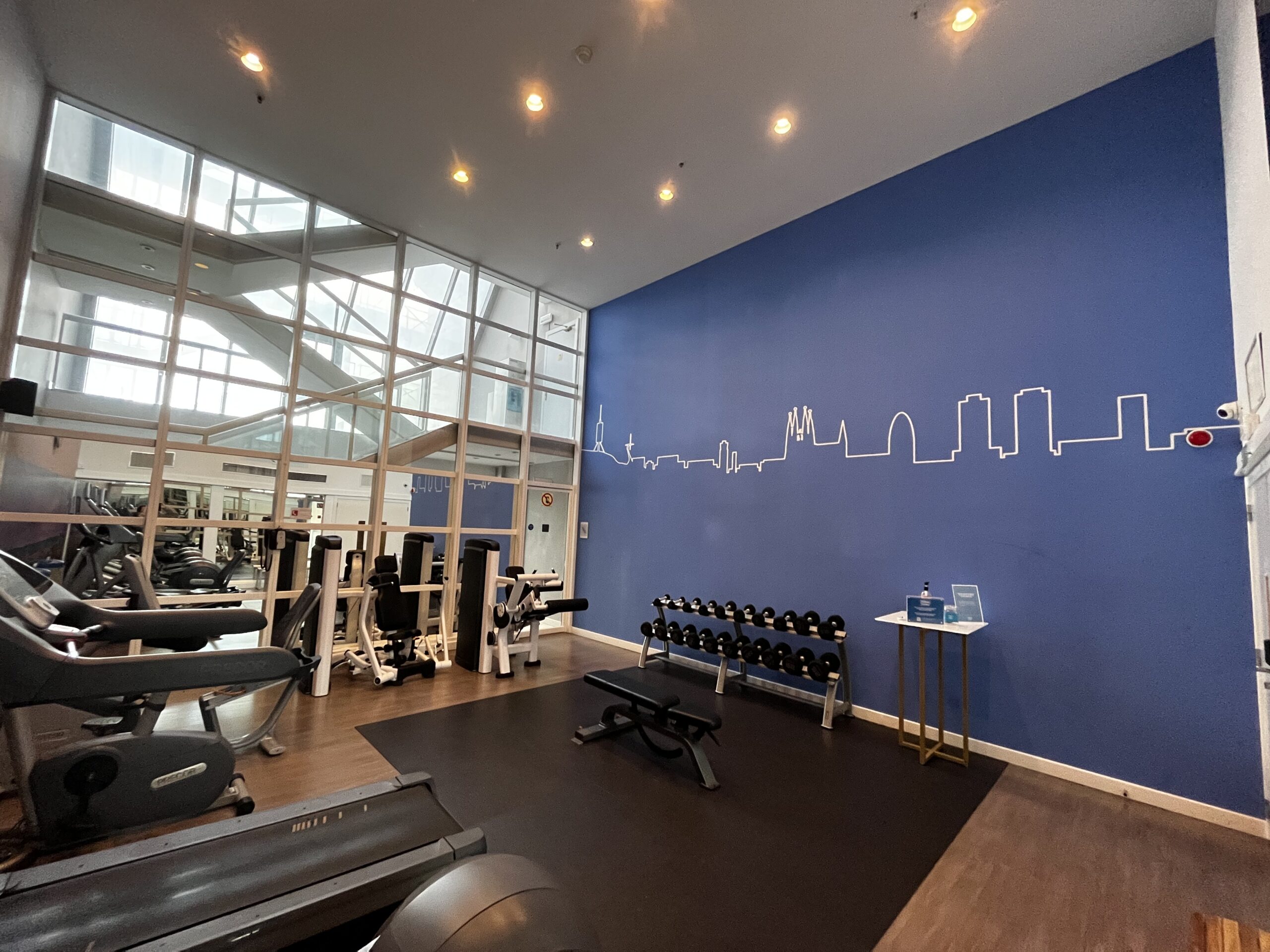 Fitnessraum mit Geräten, Hantelständer und blauer Wand mit weißem Stadtsilhouetten-Motiv.