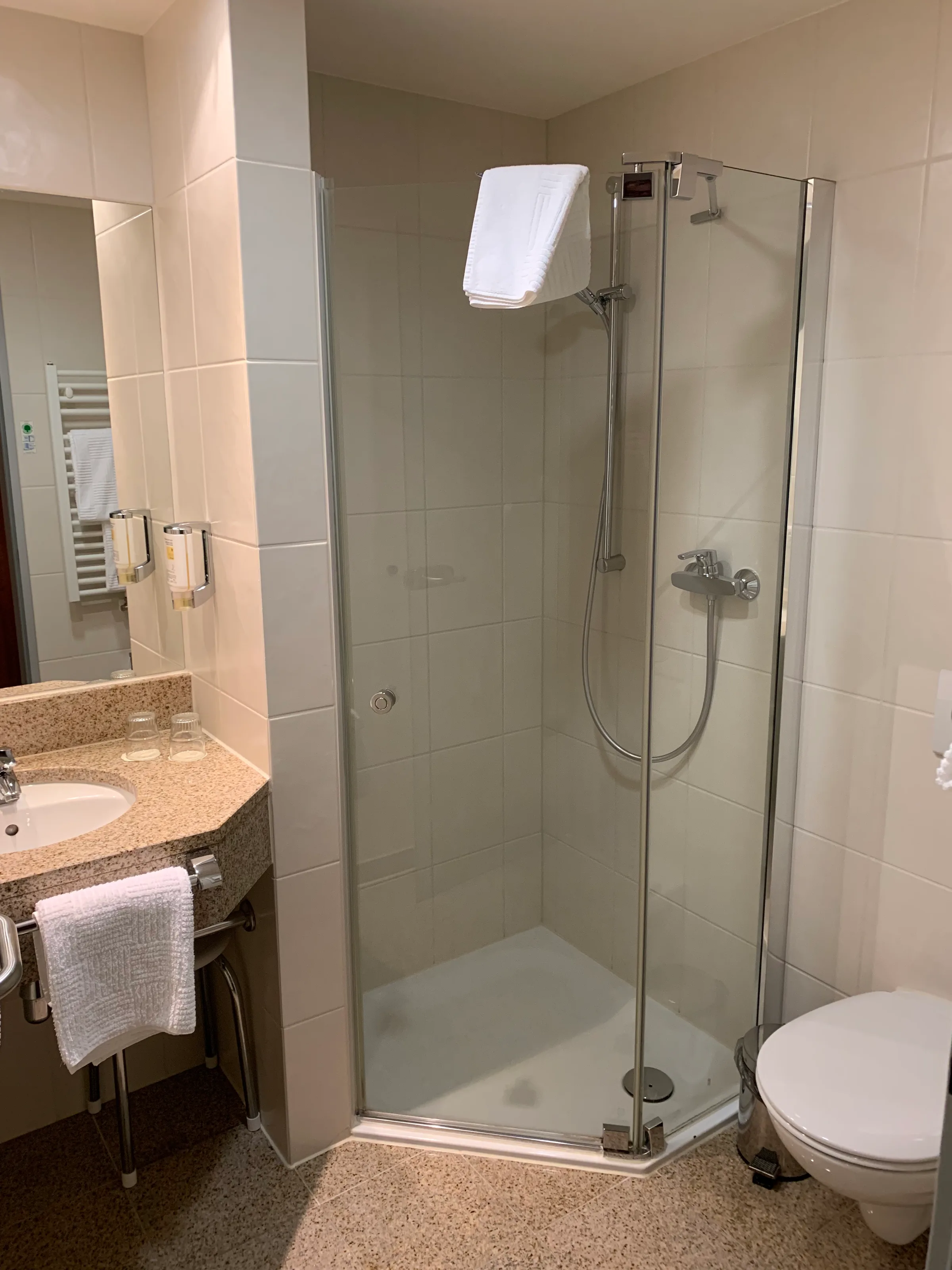Hotelbad mit Dusche und Handtuchhalter