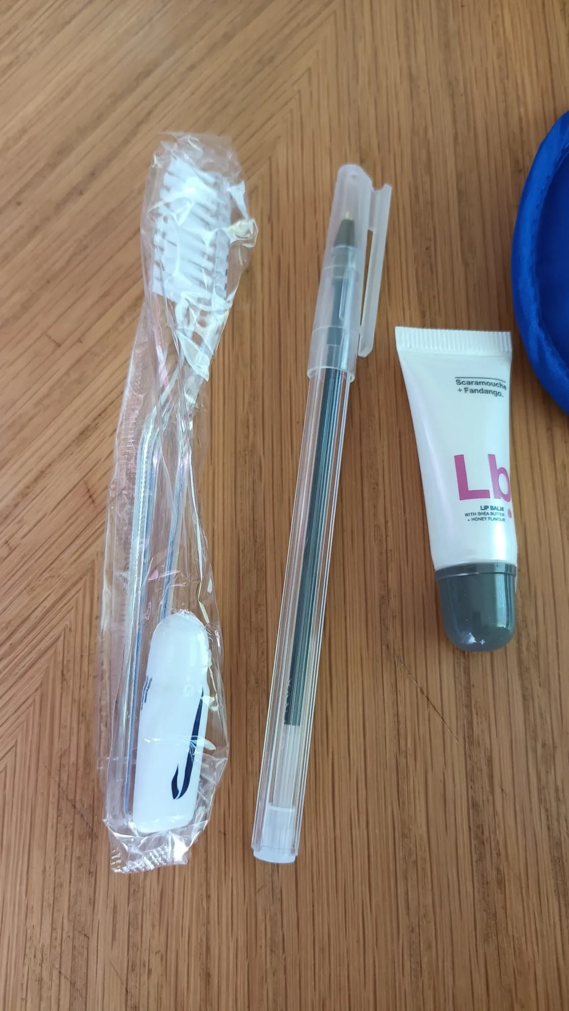 Reisezubehör mit Zahnbürste, Lippenpflege und Stift