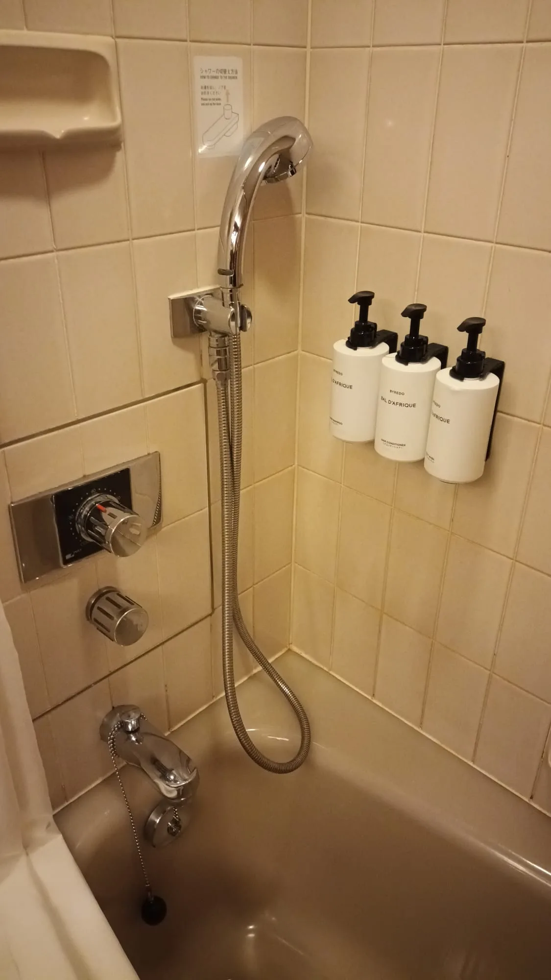Hotelbad mit Dusche über Badewanne und Flüssigseifenbehältern an der Wand