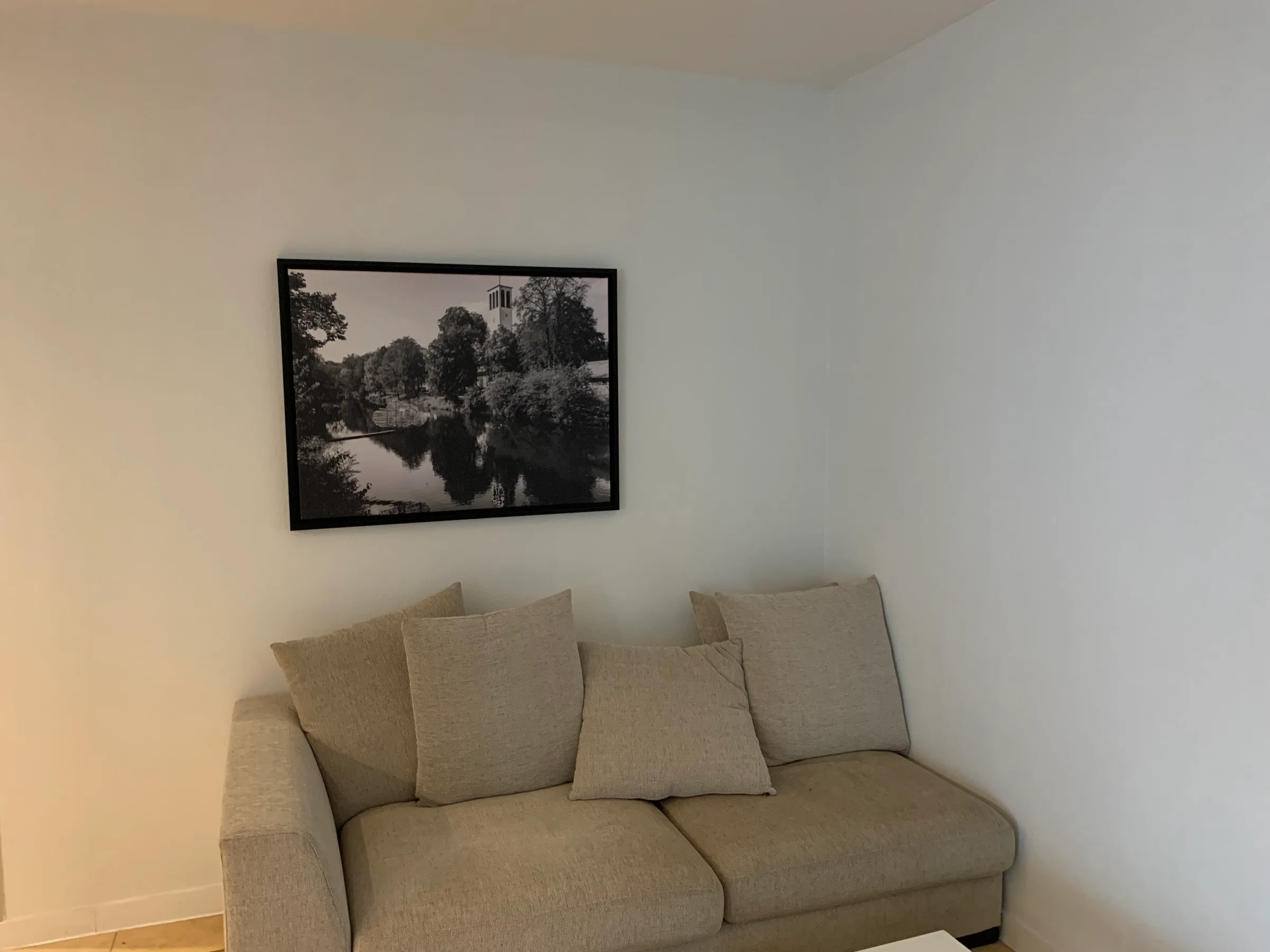 Graues Sofa mit Kissen vor Bild an Wand