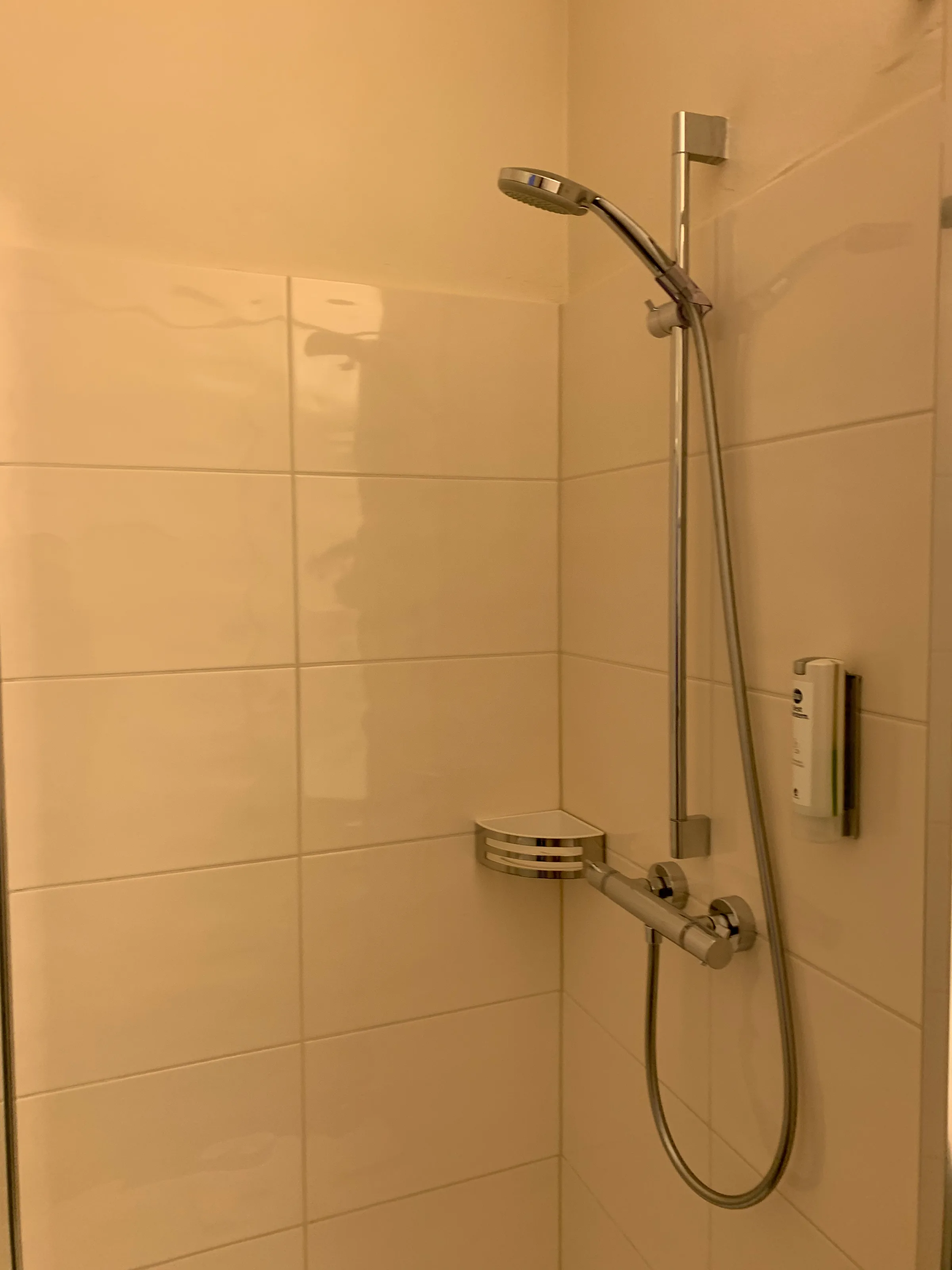 Duschbereich mit Handbrause und Regendusche