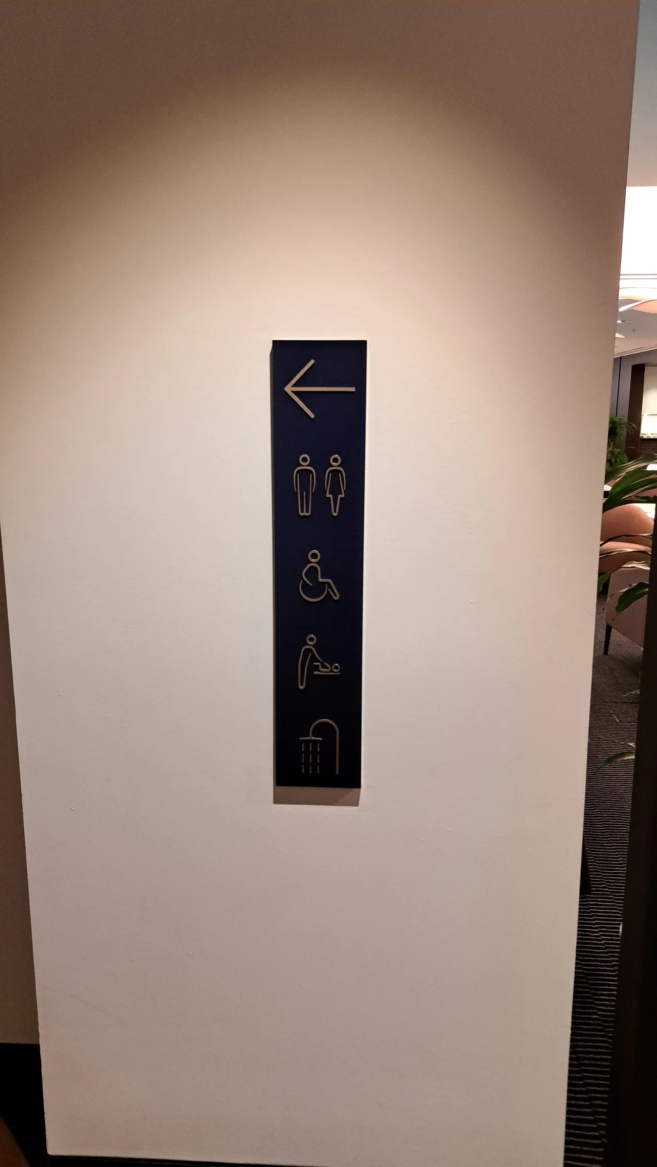 Tür mit Piktogrammen für Toiletten und Waschbecken