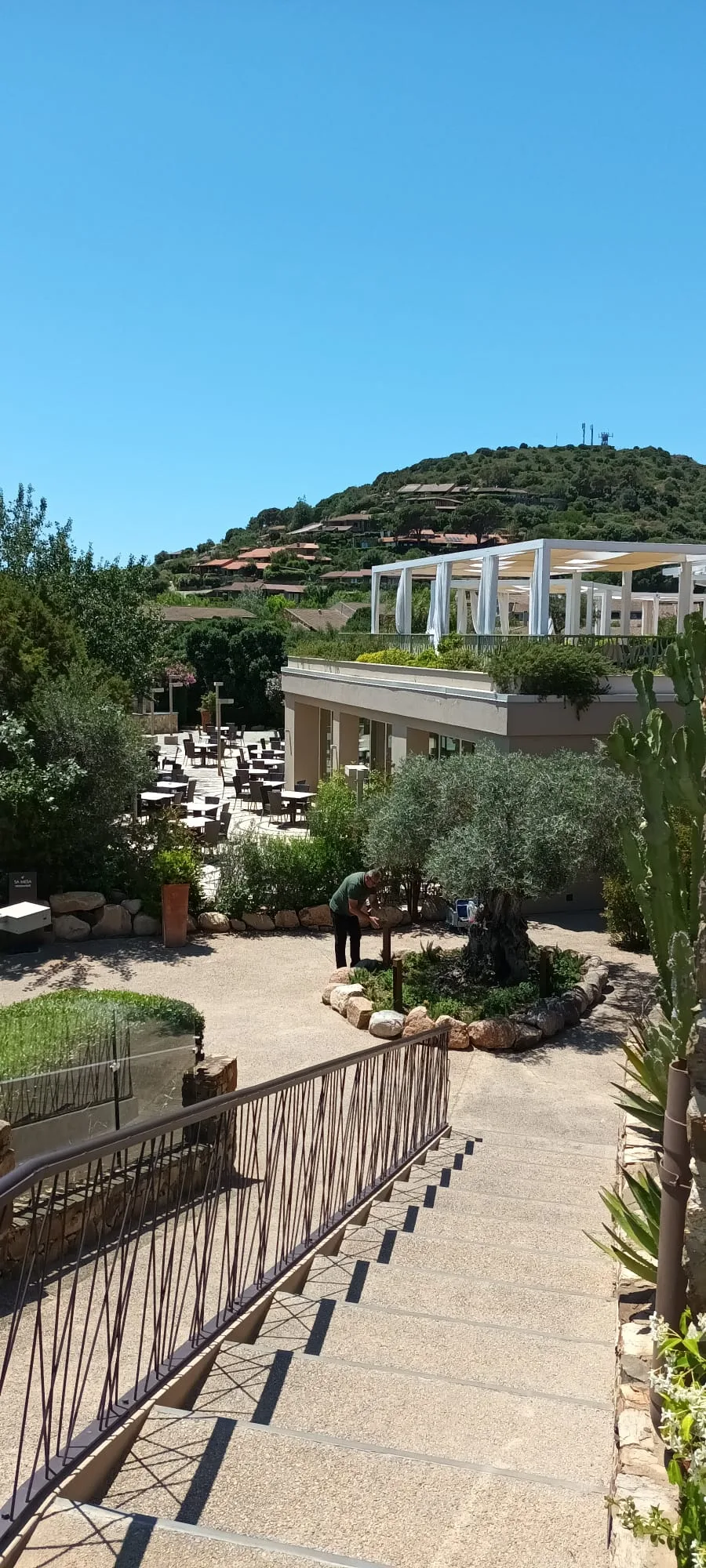 Terrasse mit Sitzgelegenheiten und Pflanzen im Vordergrund
