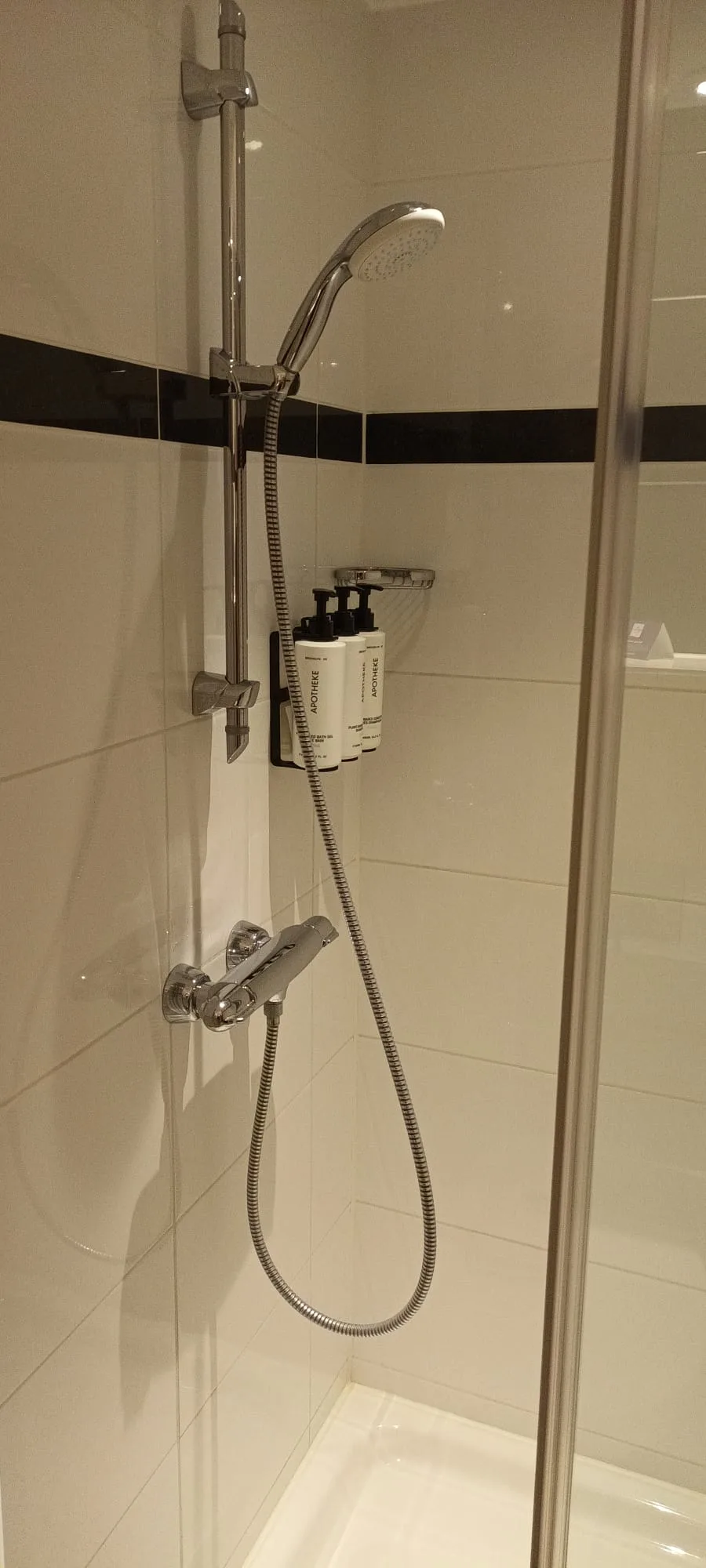 Duschbereich mit Regendusche und Flüssigseifenhalter