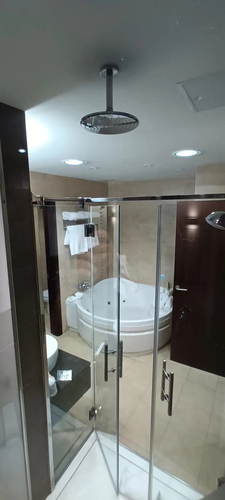 Duschbereich mit Duschkabine und Whirlpool im Hotelbad