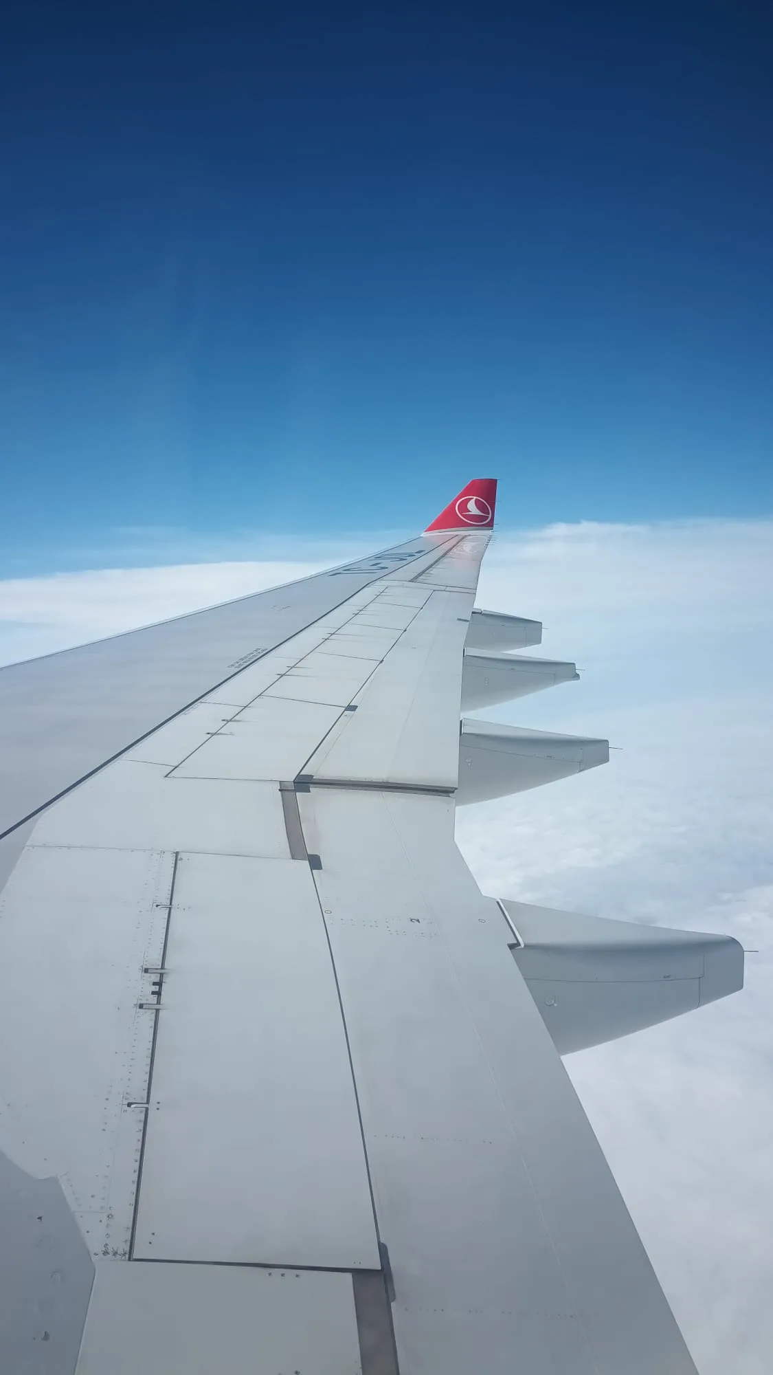 Economy - Turkish Airlines (TK)
