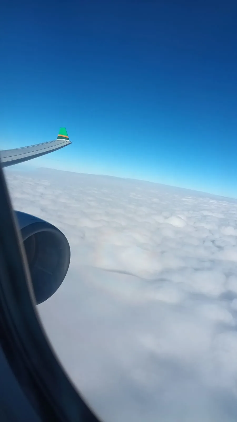 Flügel und Triebwerk über den Wolken