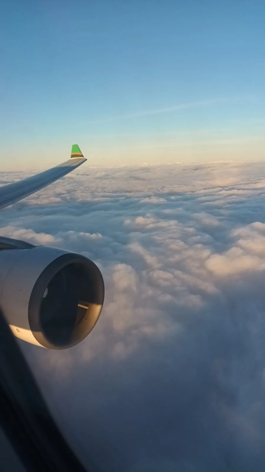 Flügel und Triebwerk über den Wolken bei Sonnenuntergang