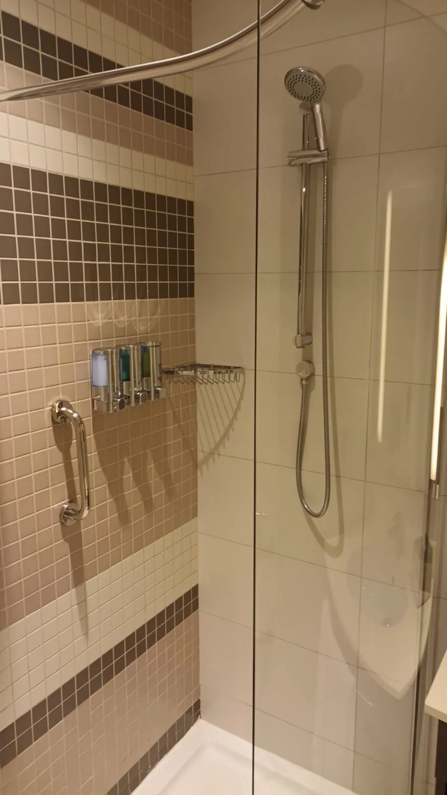 Duschbereich mit Glaswand und Handbrause