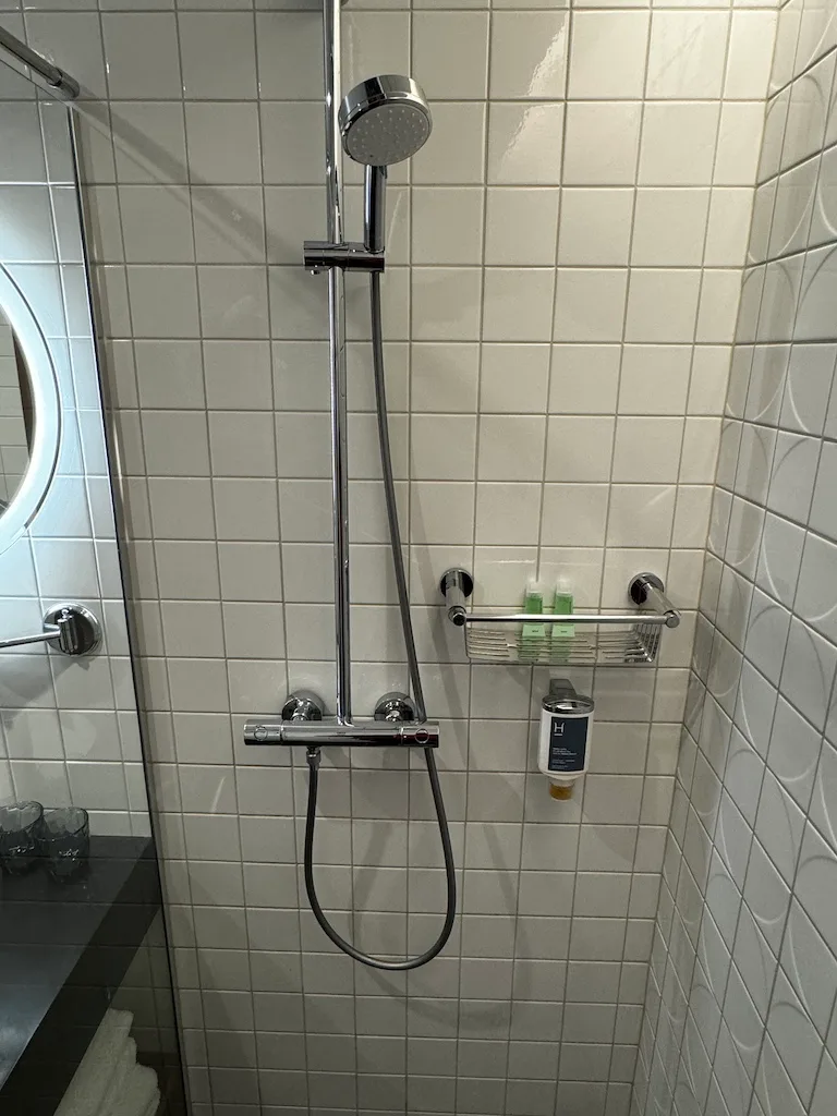 Duschbereich mit Regendusche und Regal für Shampoo und Conditioner