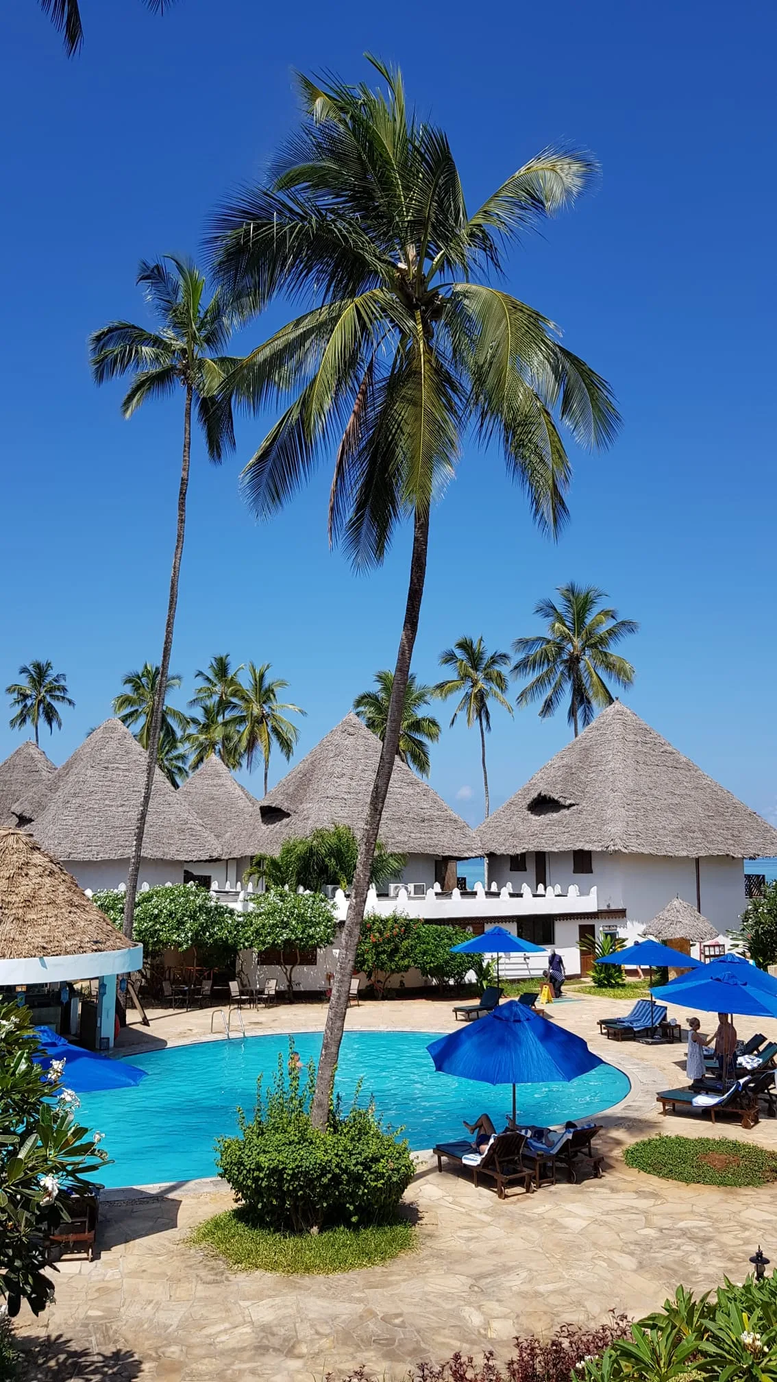Pool mit Palmen und strohgedeckten Bungalows
