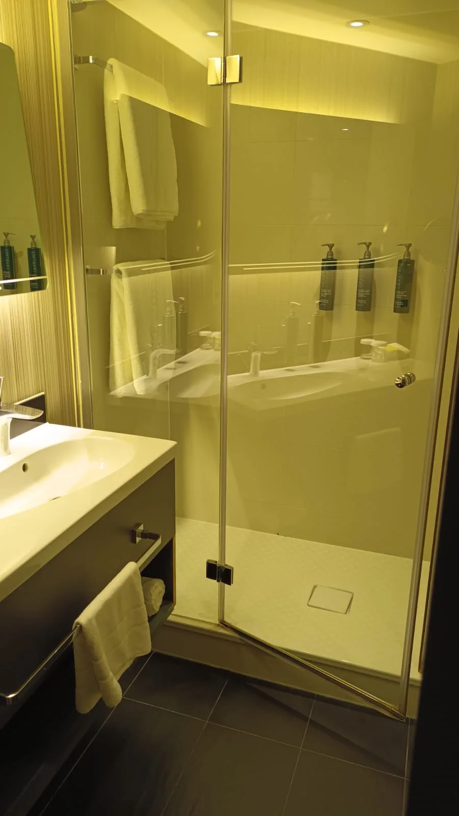 Duschbad im Hotel mit Glaswand und Handtüchern