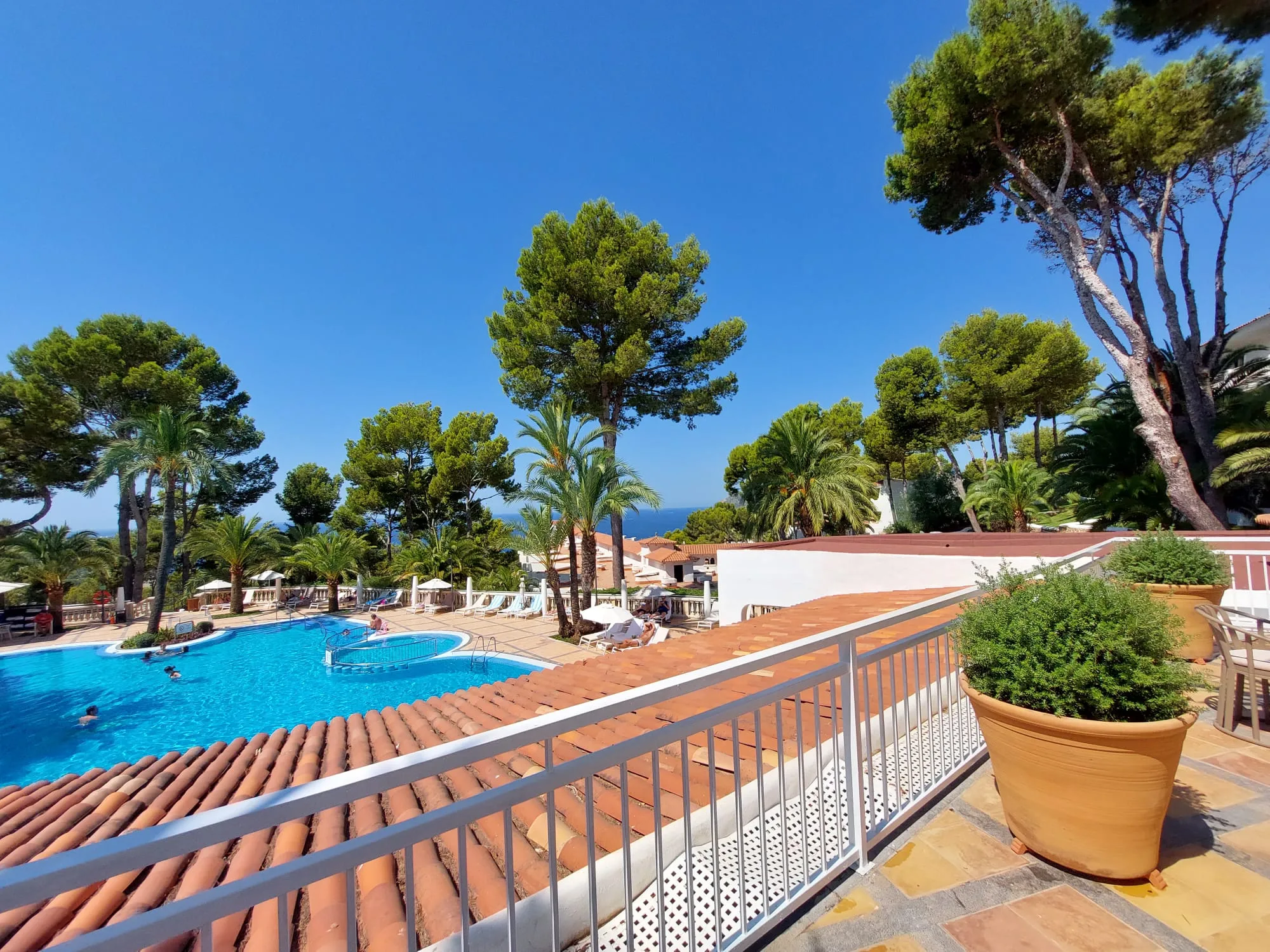 Hotelpool mit Palmen und Meerblick