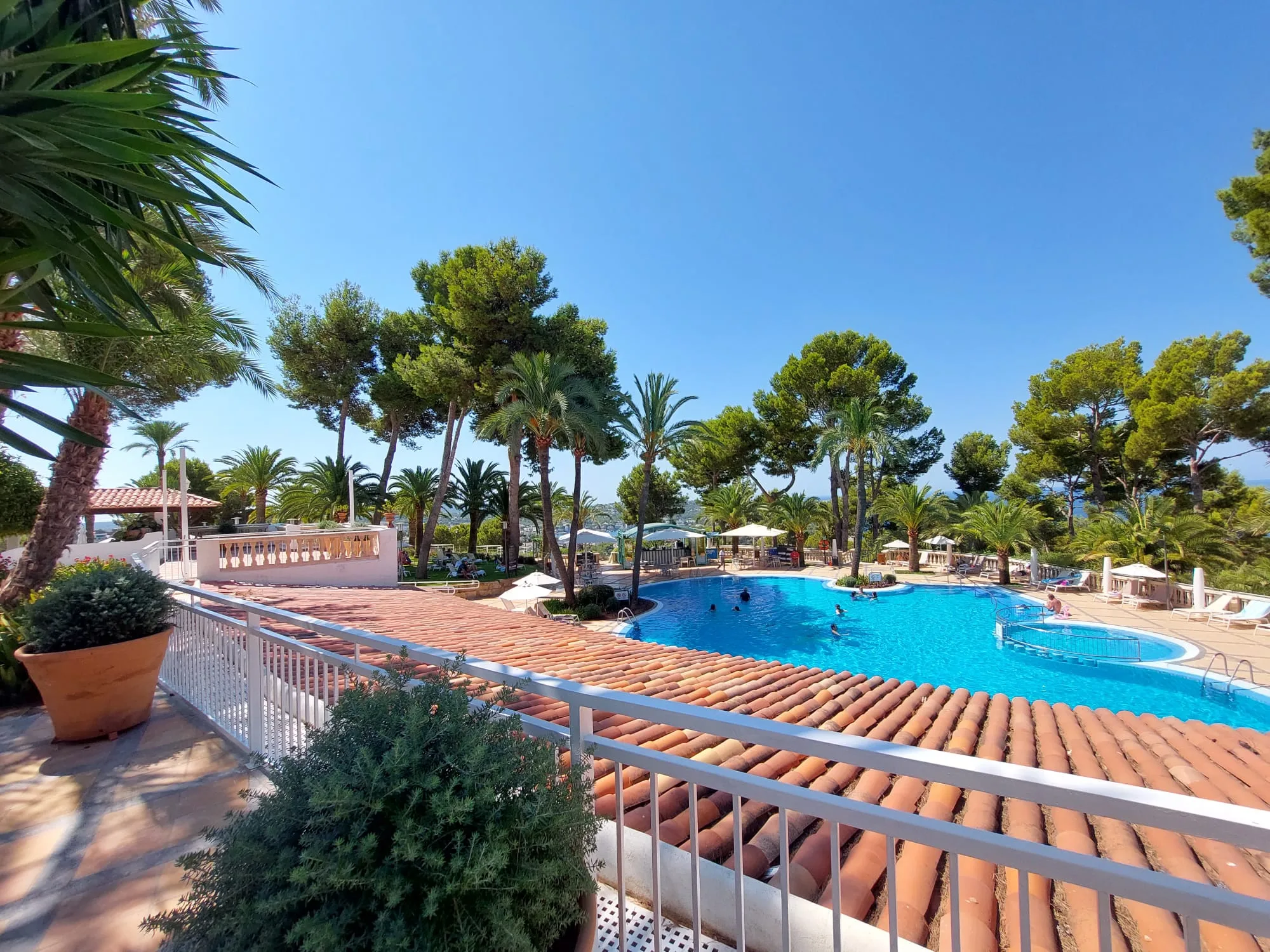 Hotelpool mit Palmen und Terrasse