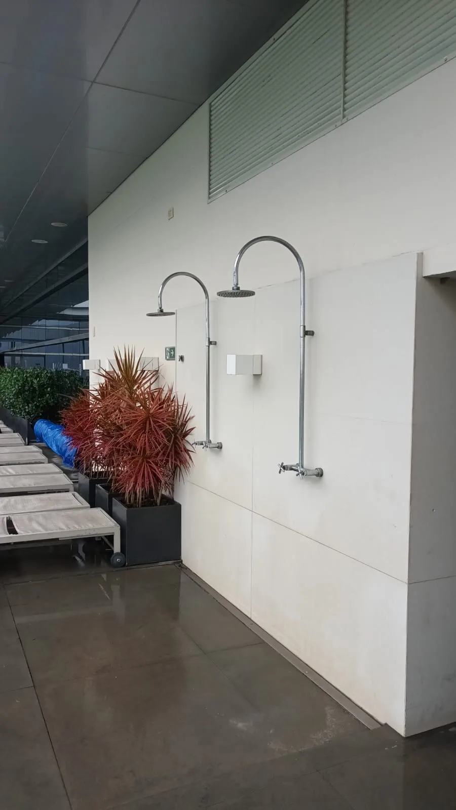 Wand mit Duschstangen und Pflanze im Hotel