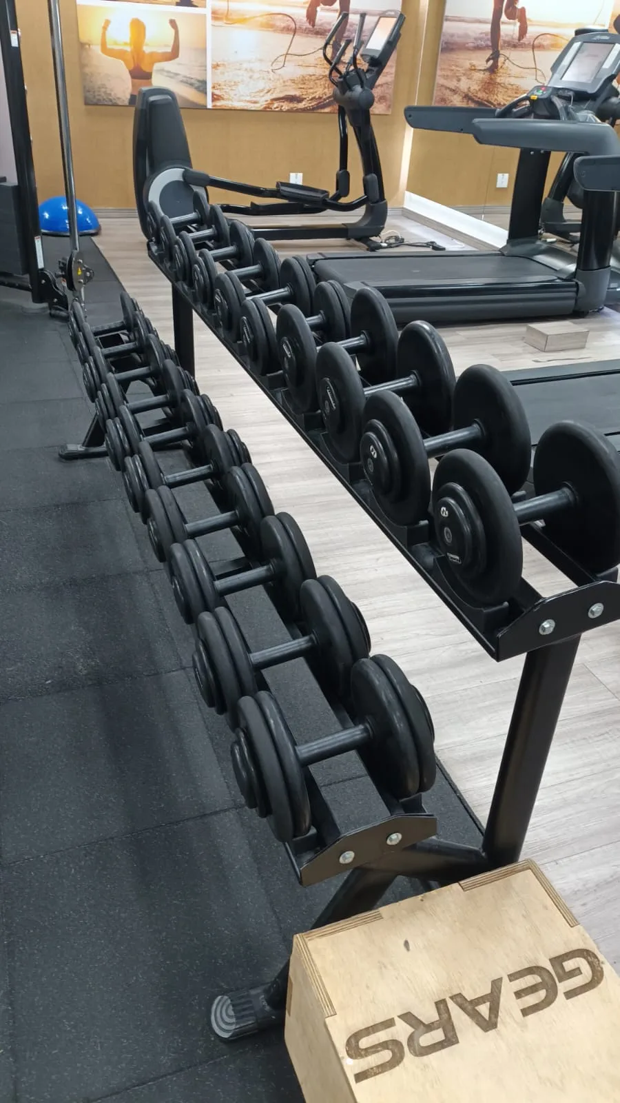 Gewichtsregal mit Hanteln im Fitnessraum