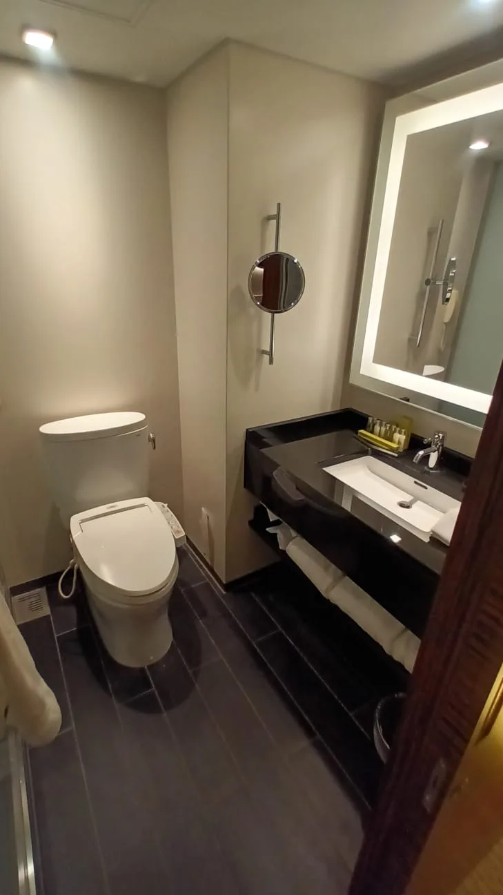 Moderatesizeer Badezimmer mit Toilette, Waschbecken und Spiegel