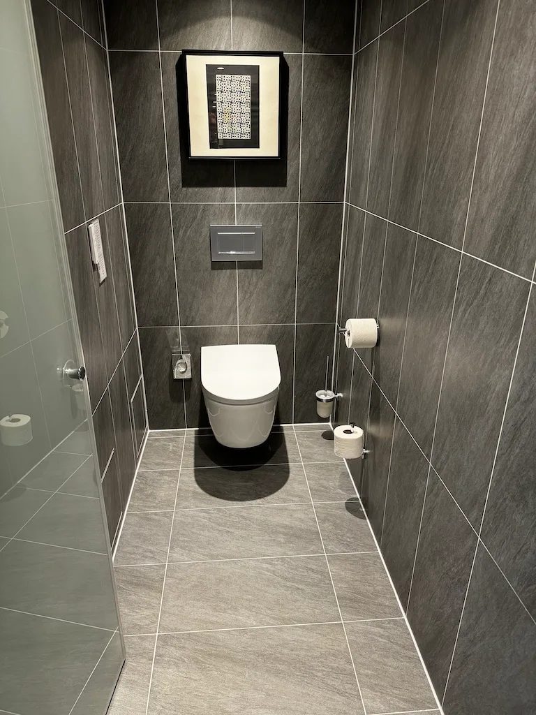 Moderne Toilette mit Wandspülkasten und Toilettenpapierhalter