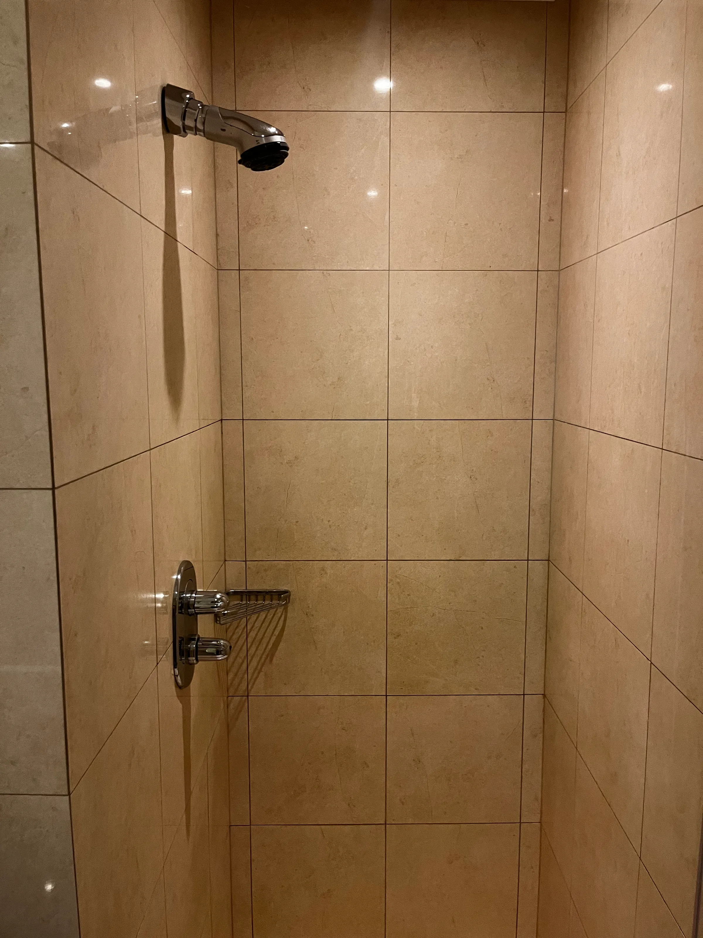 Duschbereich mit Fliesenwand und Handbrause