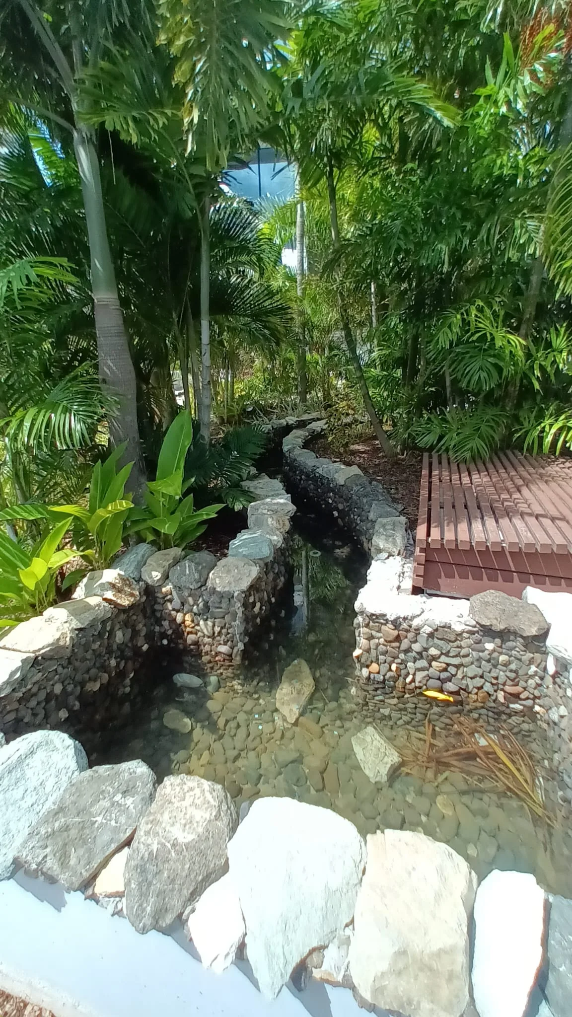 Gartenweg mit Steinen und Pflanzen