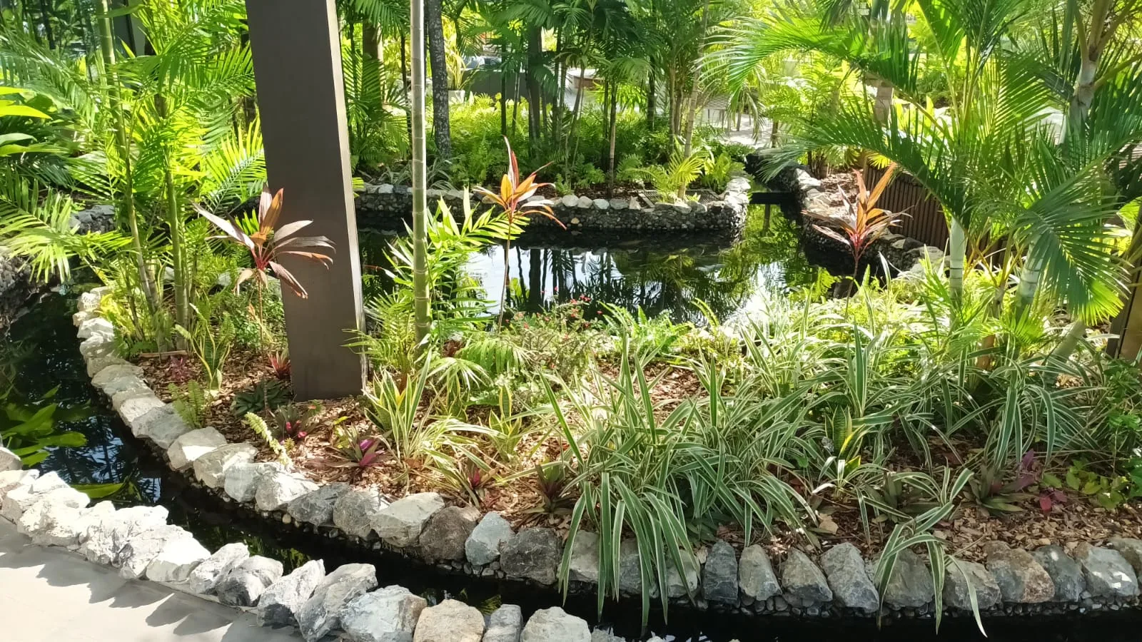 Tropischer Garten mit Pflanzen und Steinen um einen Teich