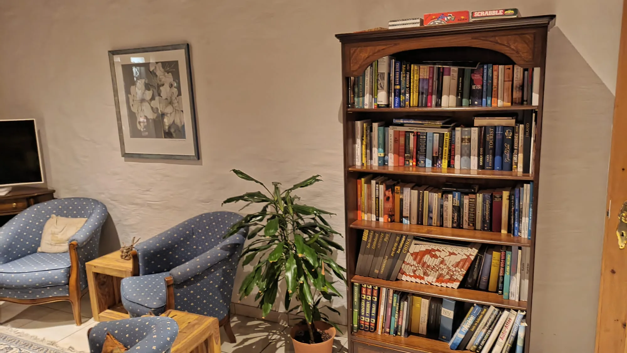 Bücherregal mit Büchern und Pflanze im Hotelzimmer
