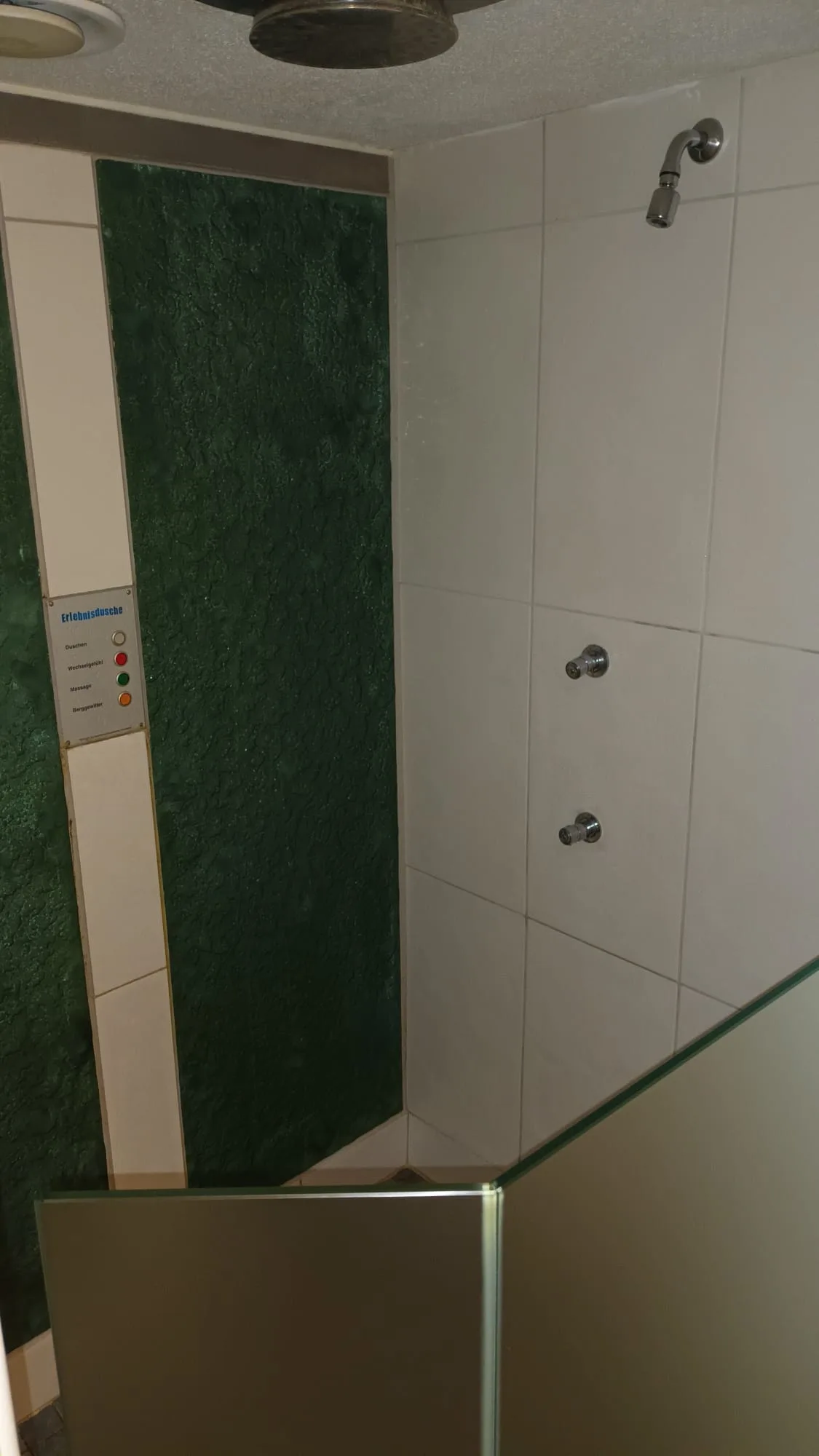 Duschbereich mit grüner Wand und Duschkopf