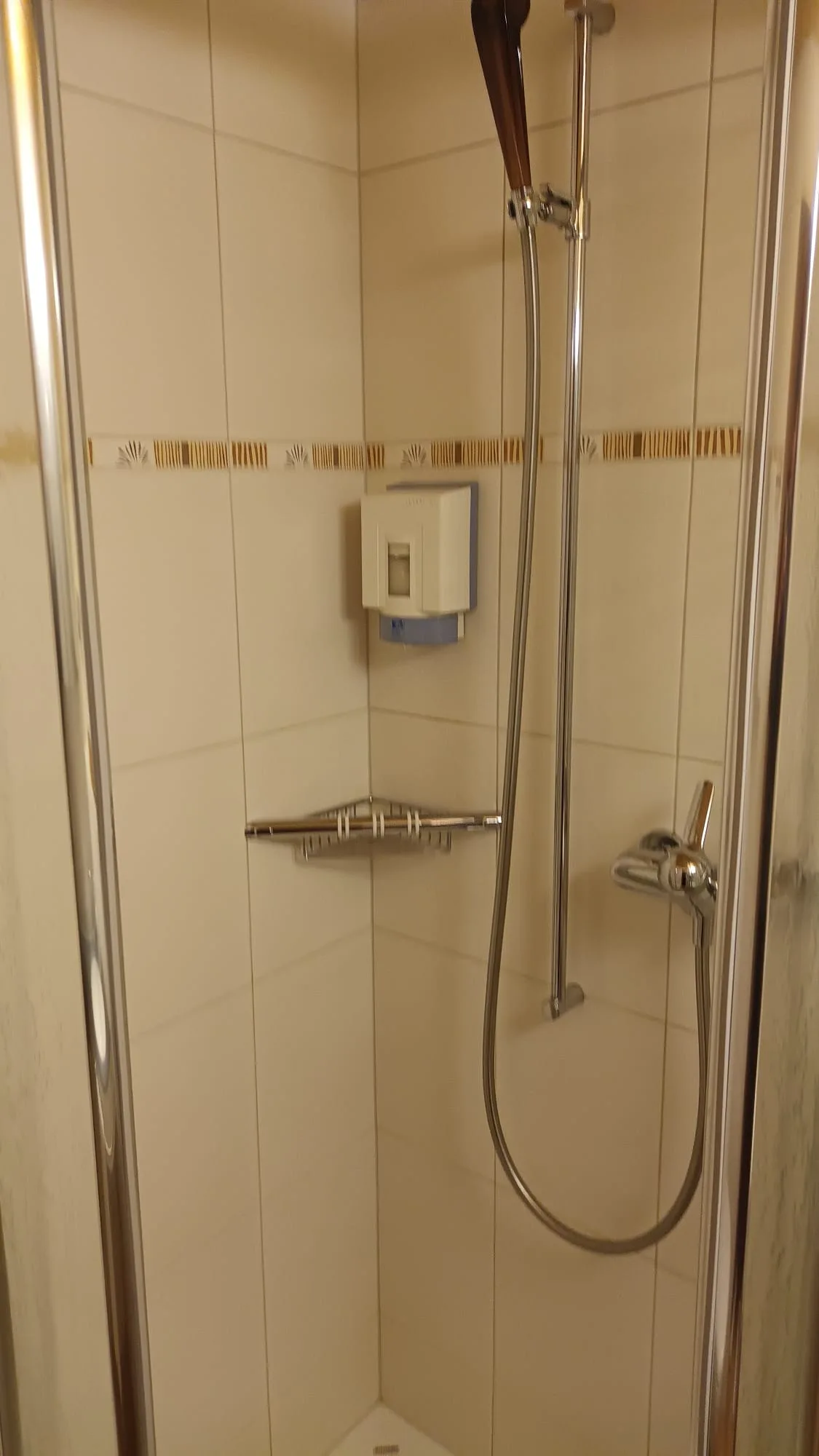 Duschbereich mit Handbrause und Regendusche