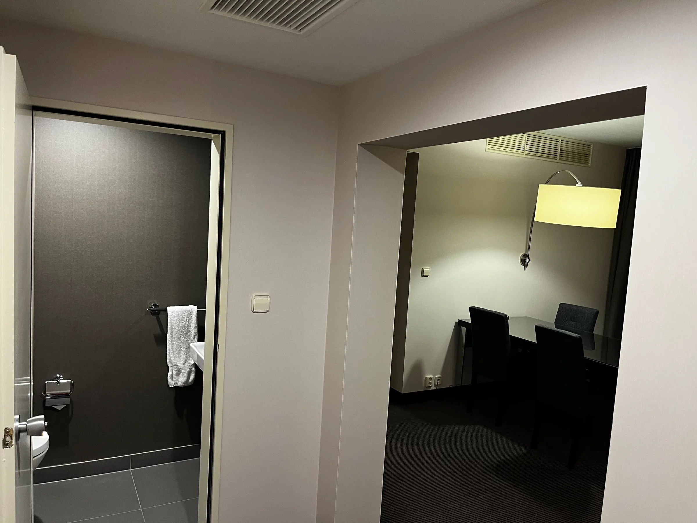 Hotelzimmer mit Dusche und Schreibtisch im Hintergrund
