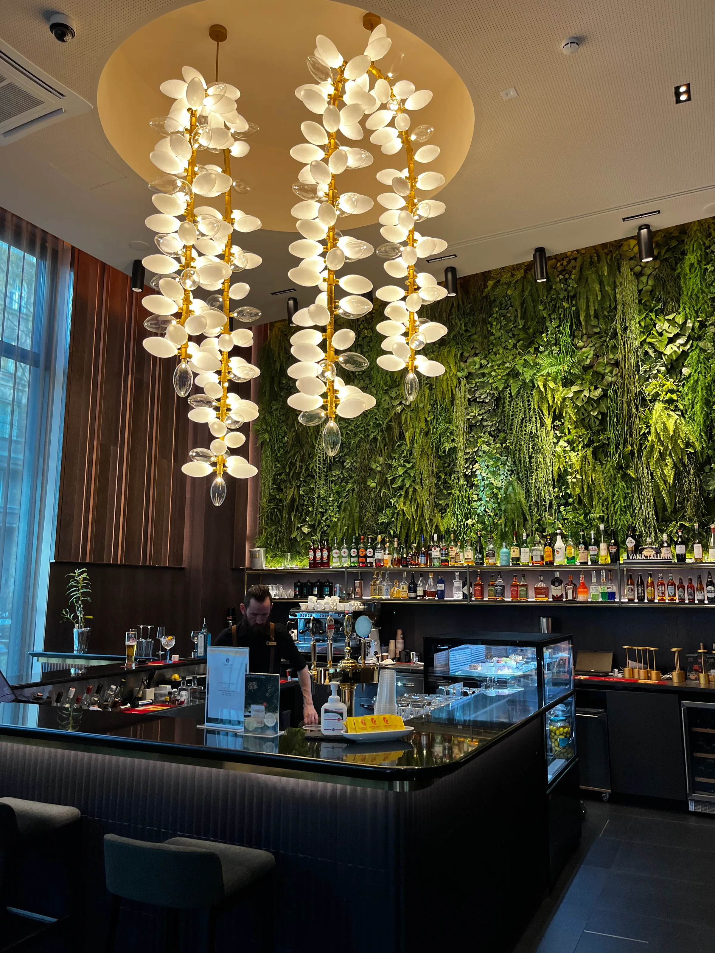 Bar mit grüner Wand und hängenden Kronleuchtern