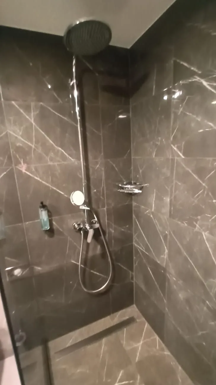 Duschbereich mit Regendusche und Handbrause