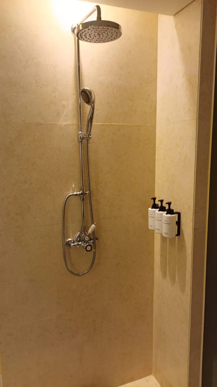 Duschbereich mit Regendusche und Handbrause