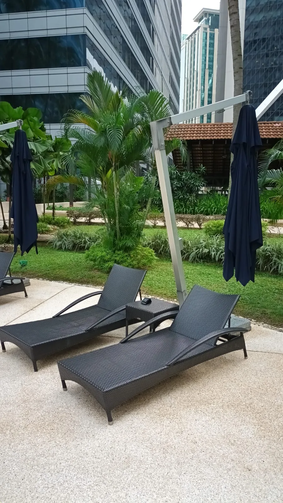 Sonnendeck mit Liegestühlen und Sonnenschirmen im Hotelgarten