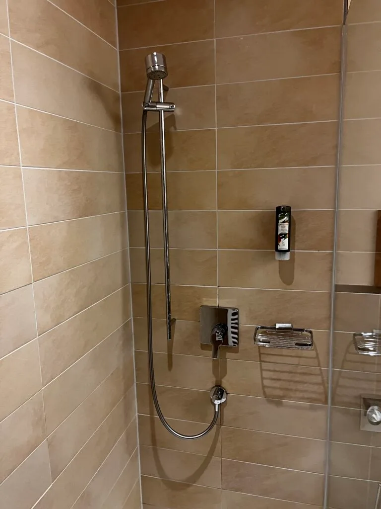 Duschbereich mit Handbrause und Seifenteller an der Wand