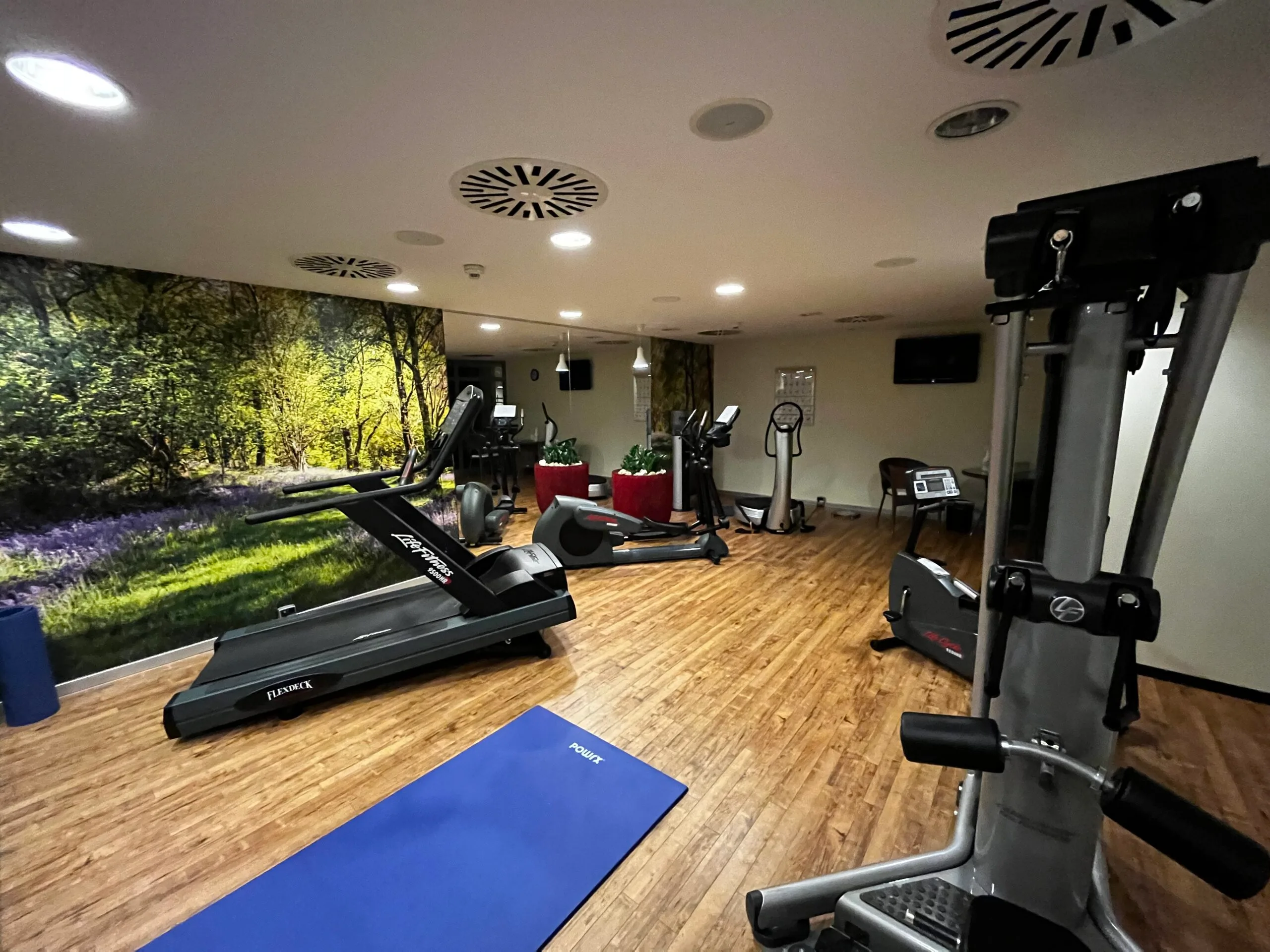 Fitnessraum mit Laufband und Trainingsgeräten