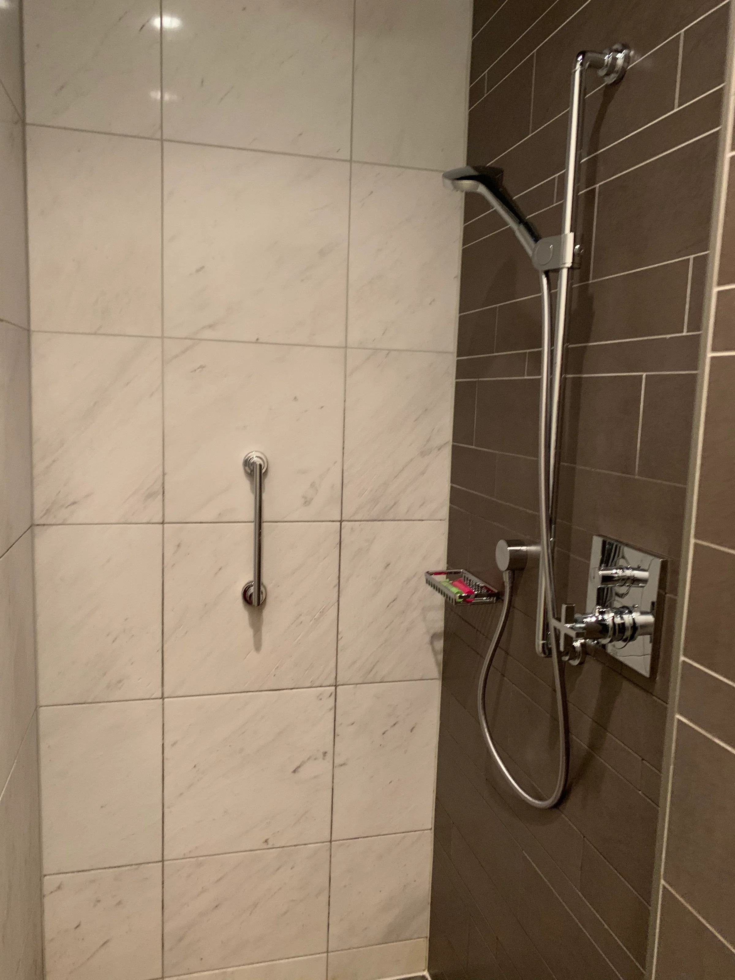 Duschbereich mit Handlauf und Regendusche