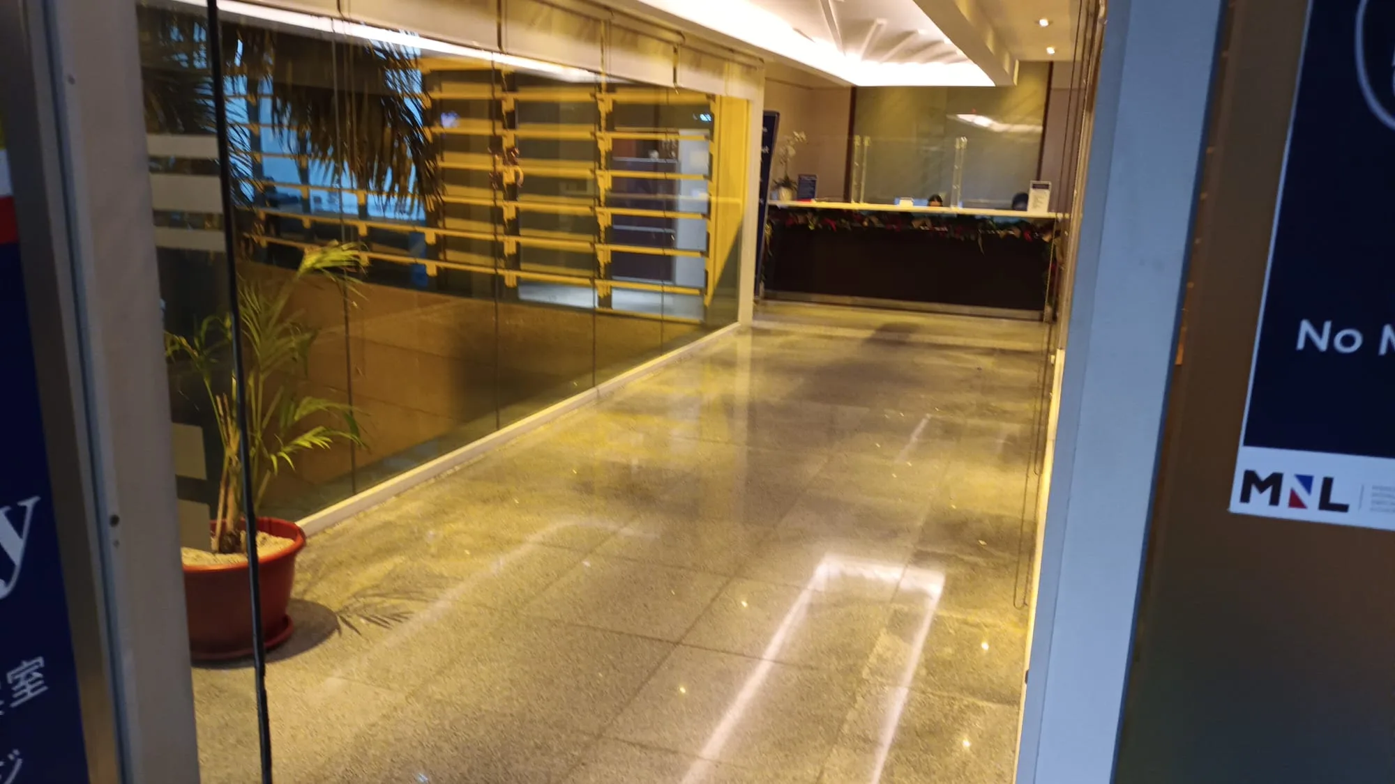Lobby mit Pflanze und Empfangsdesk