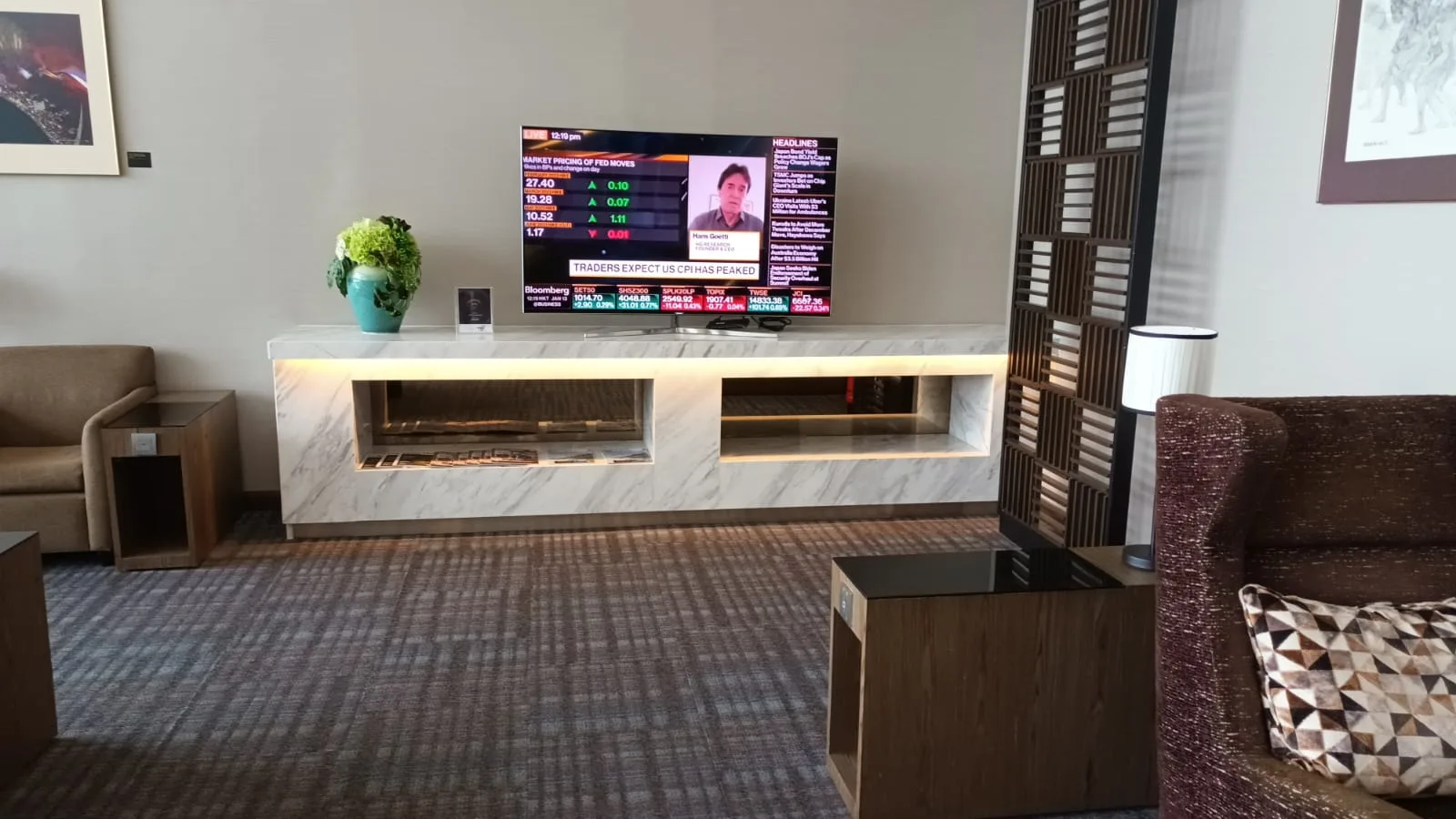 Moderne Lounge mit TV und Pflanze