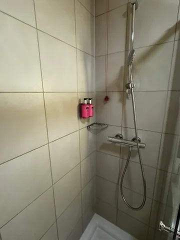 Duschbereich mit Handbrause und Regendusche