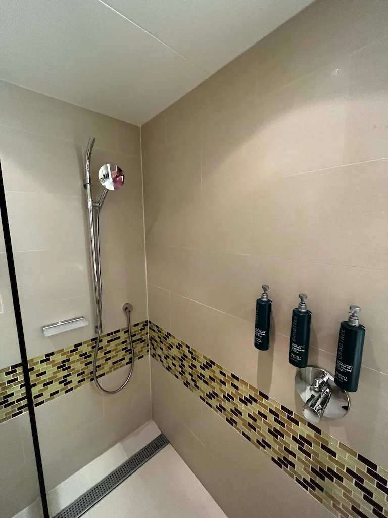 Duschbereich mit Regendusche und Flüssigseifenflaschen an der Wand