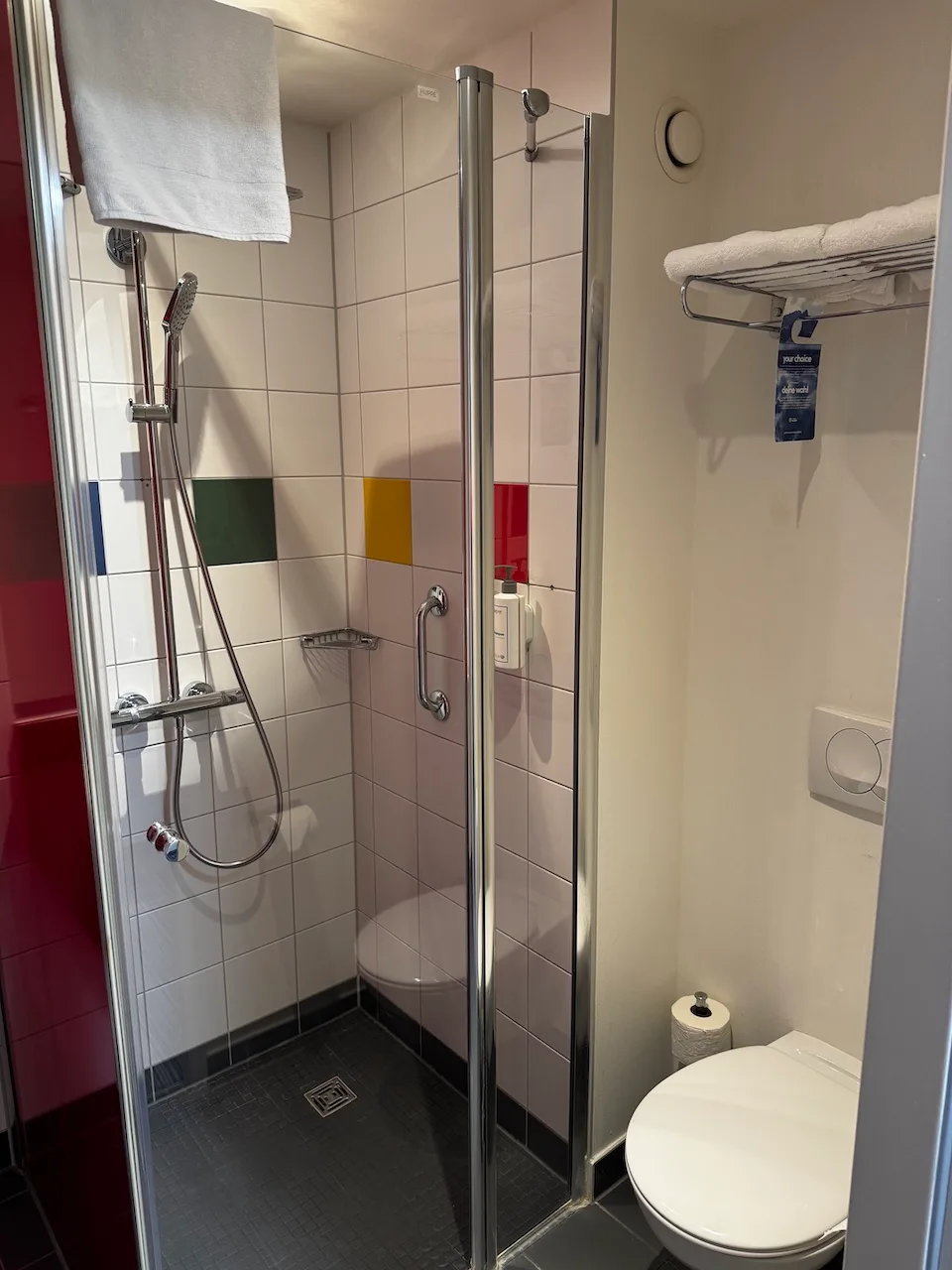 Kleines Badezimmer mit Dusche und Toilette