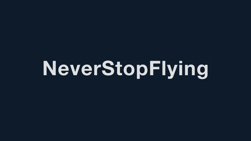 Never Stop Flying