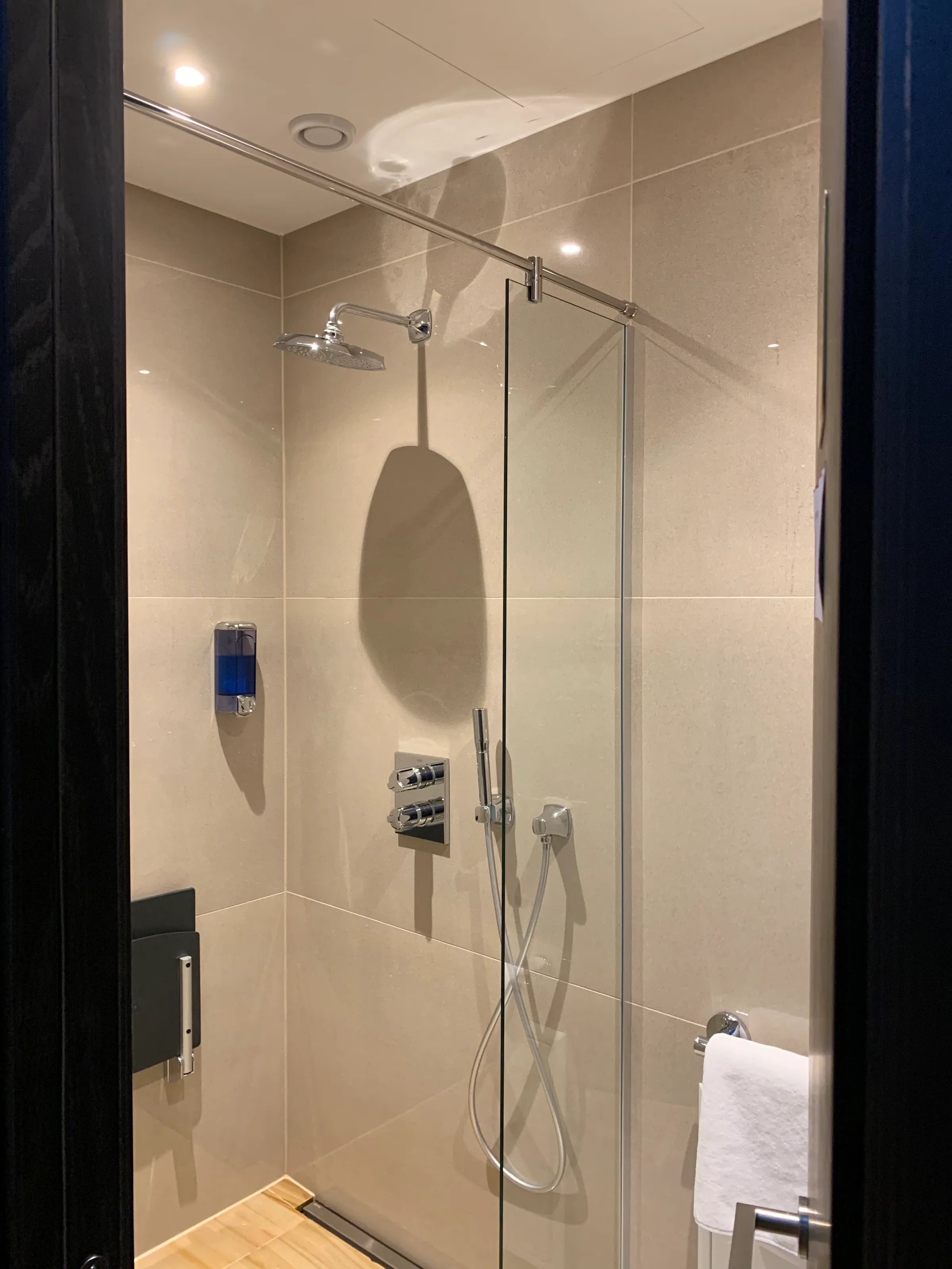 Duschabtrennung aus Glas mit Regenbrause und Handtuchhalter