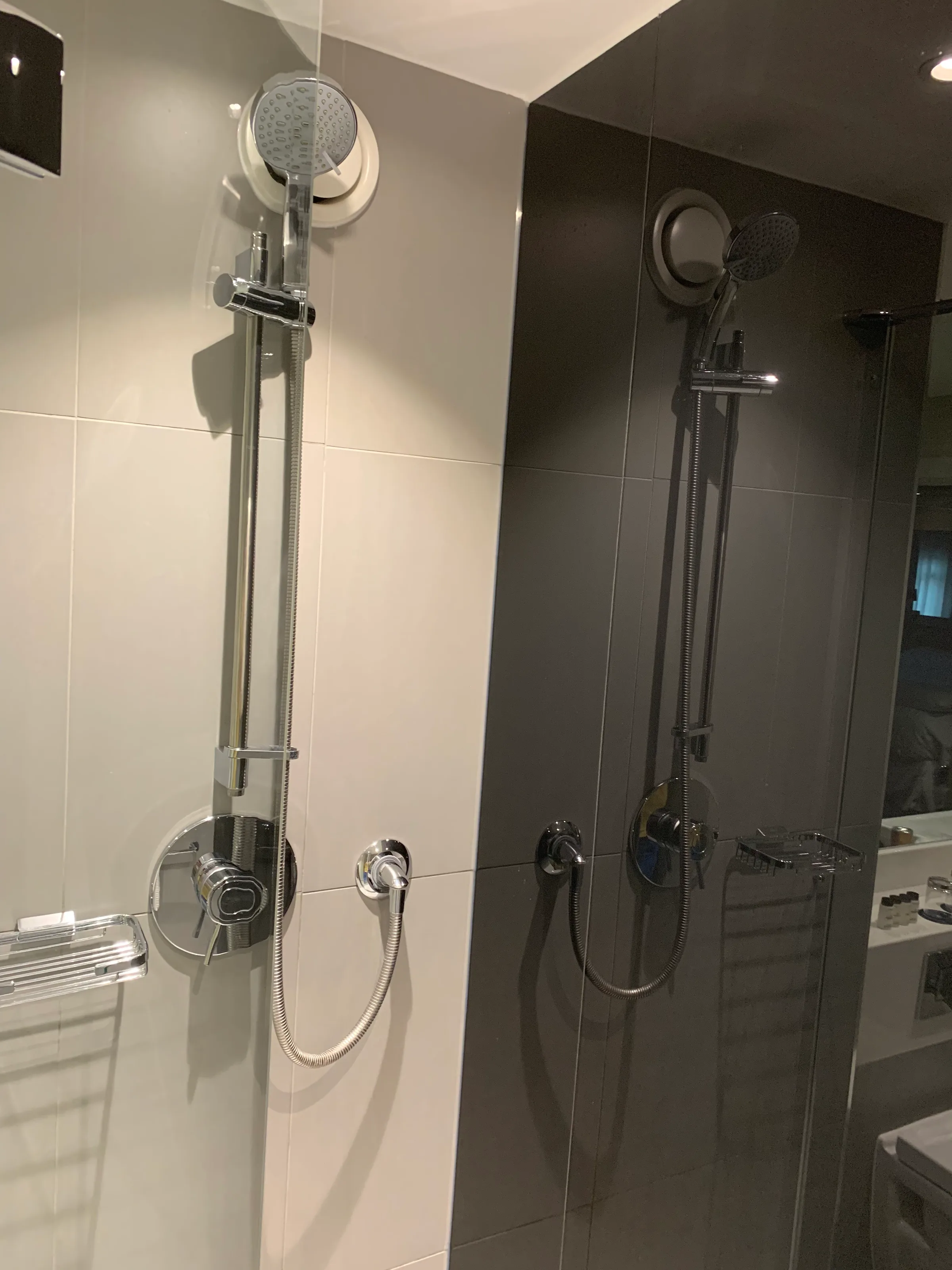 Duschbereich mit Handbrause und Regendusche an der Wand