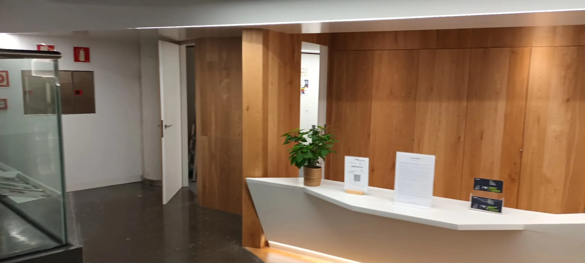 Rezeption mit Pflanze und Informationsblättern in einem Flughafen-VIP-Lounge