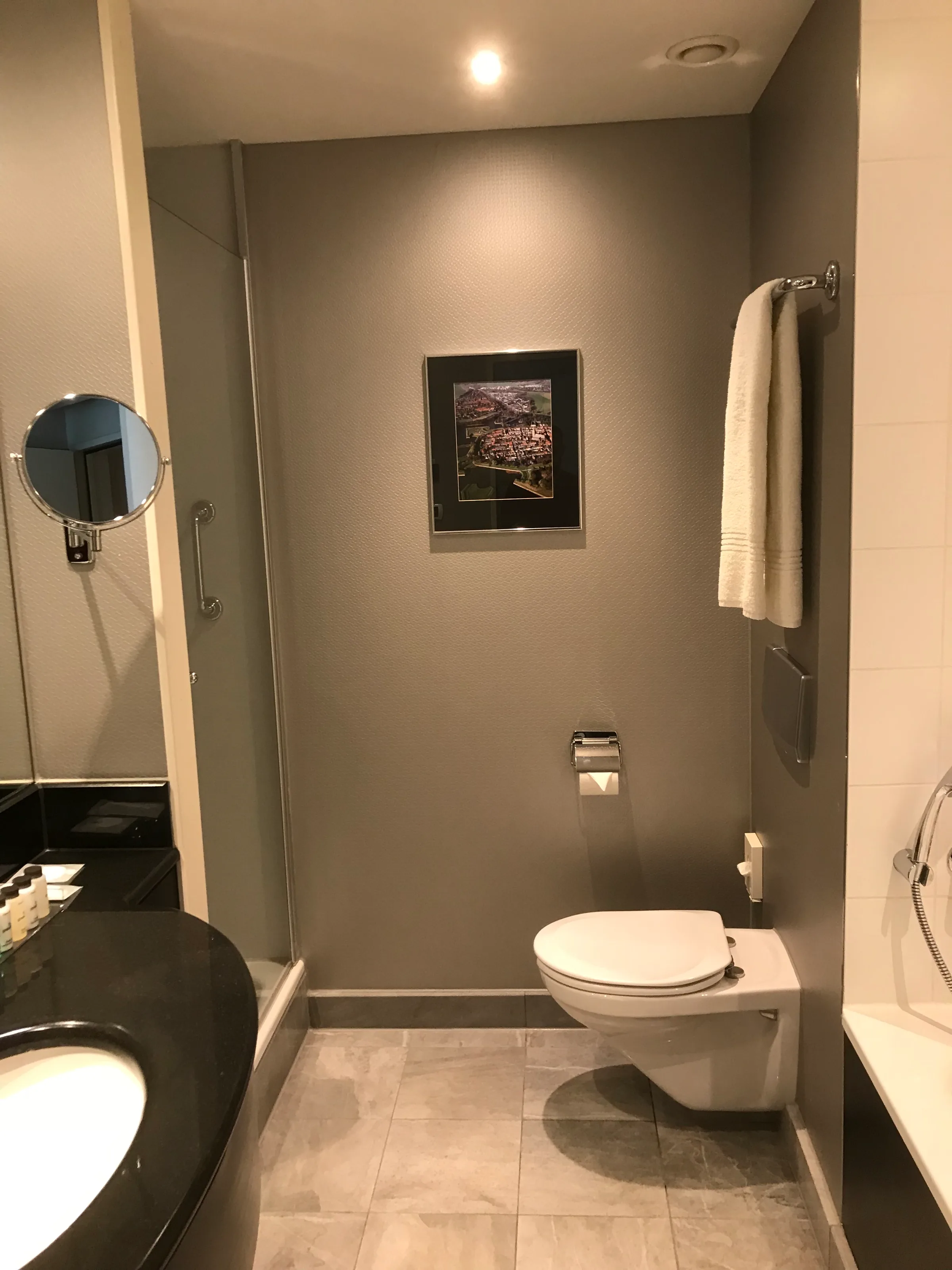 Moderne Badezimmer mit Toilette, Handtuchhalter und Wandbild