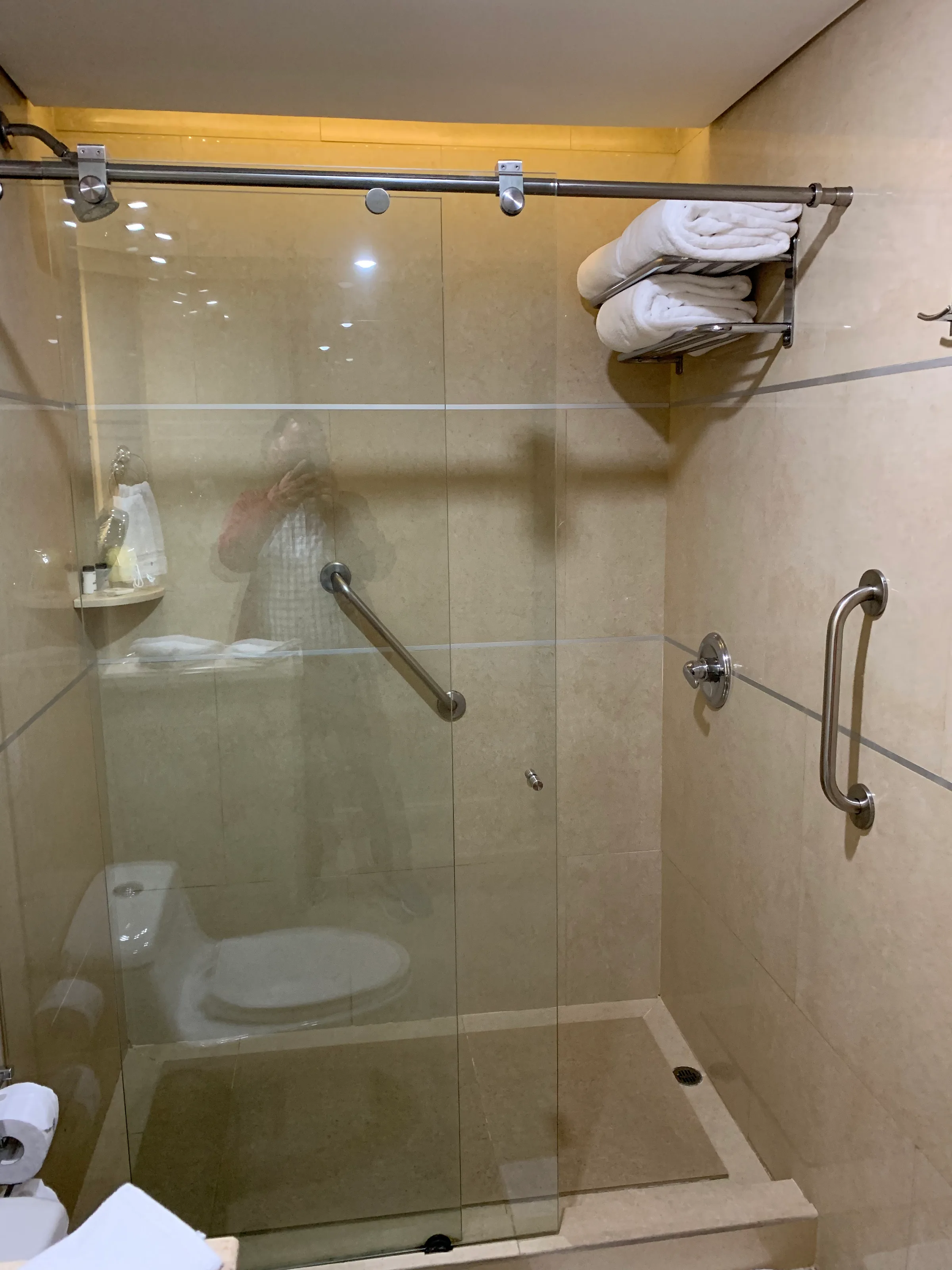 Duschbereich im Hotel mit Glastür und Handtuchhalter