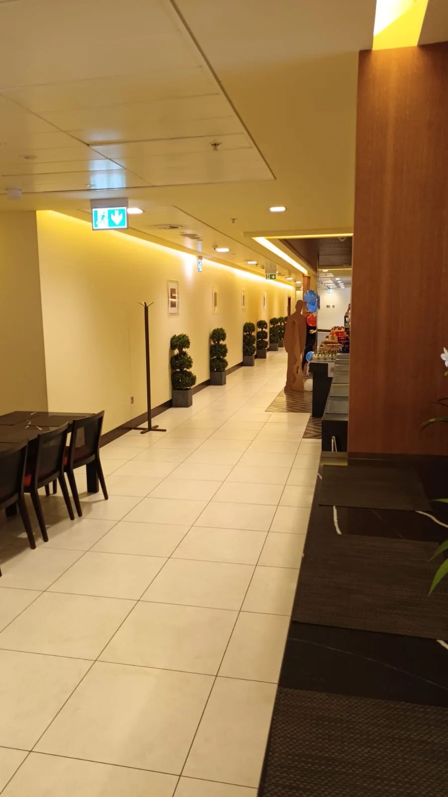 Gepflegter Flughafen-Lounge mit Sitzgelegenheiten und Topfpflanzen entlang der Wand