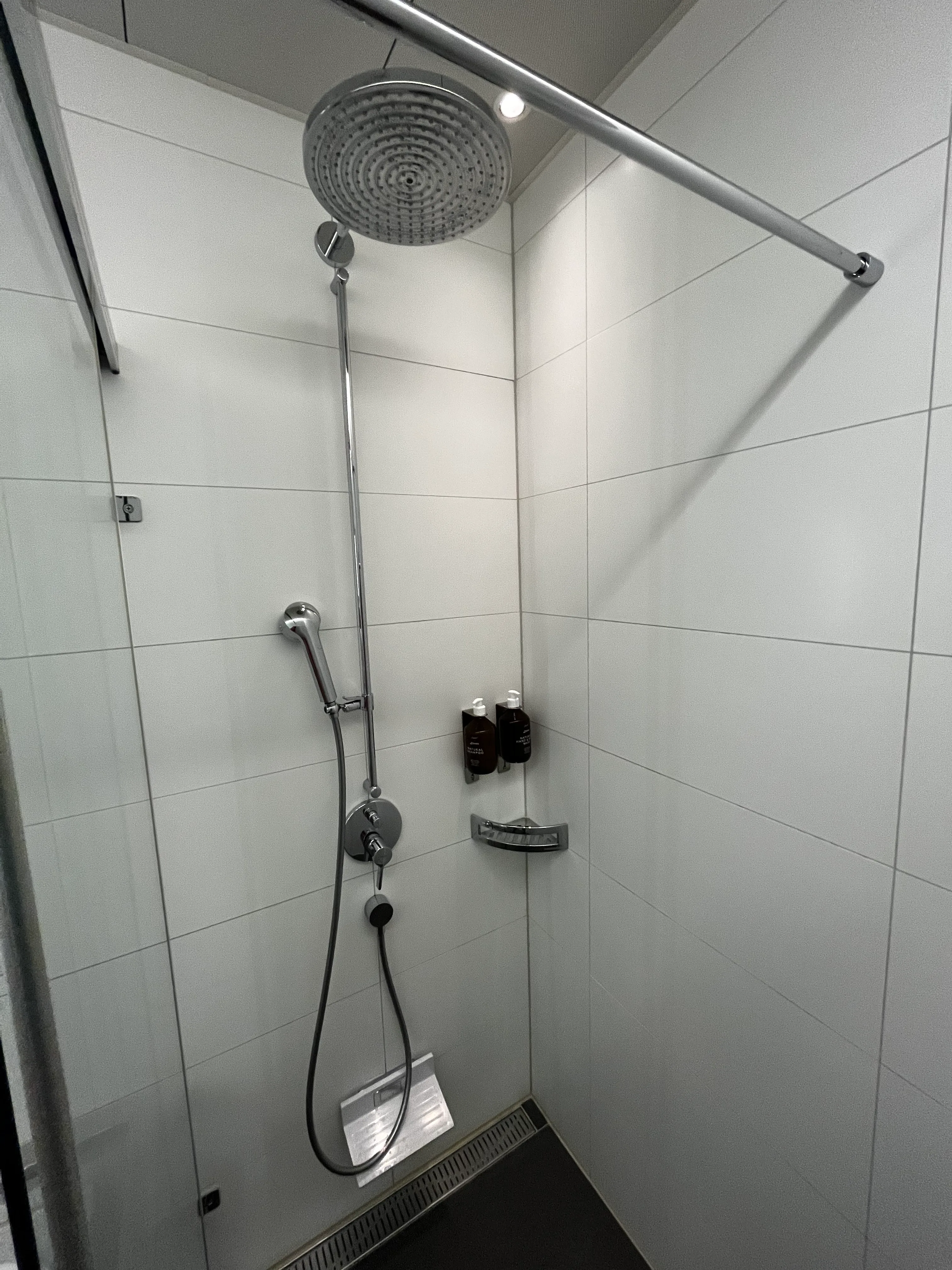 Duschbereich mit Regendusche und Handbrause